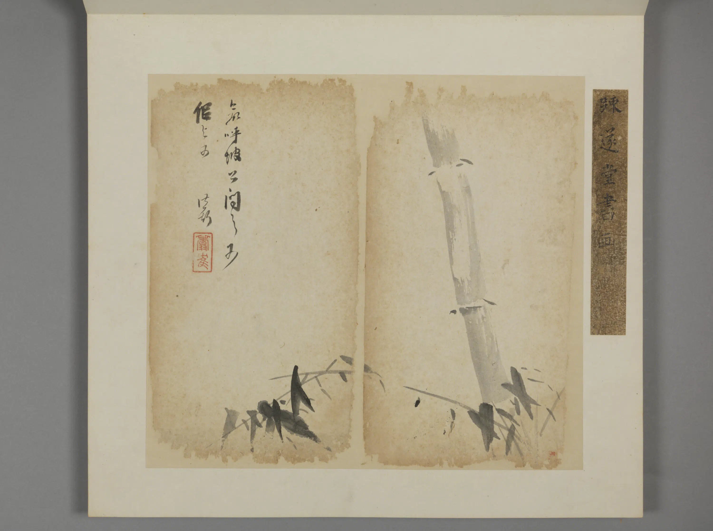 清代【王露】《花卉册》