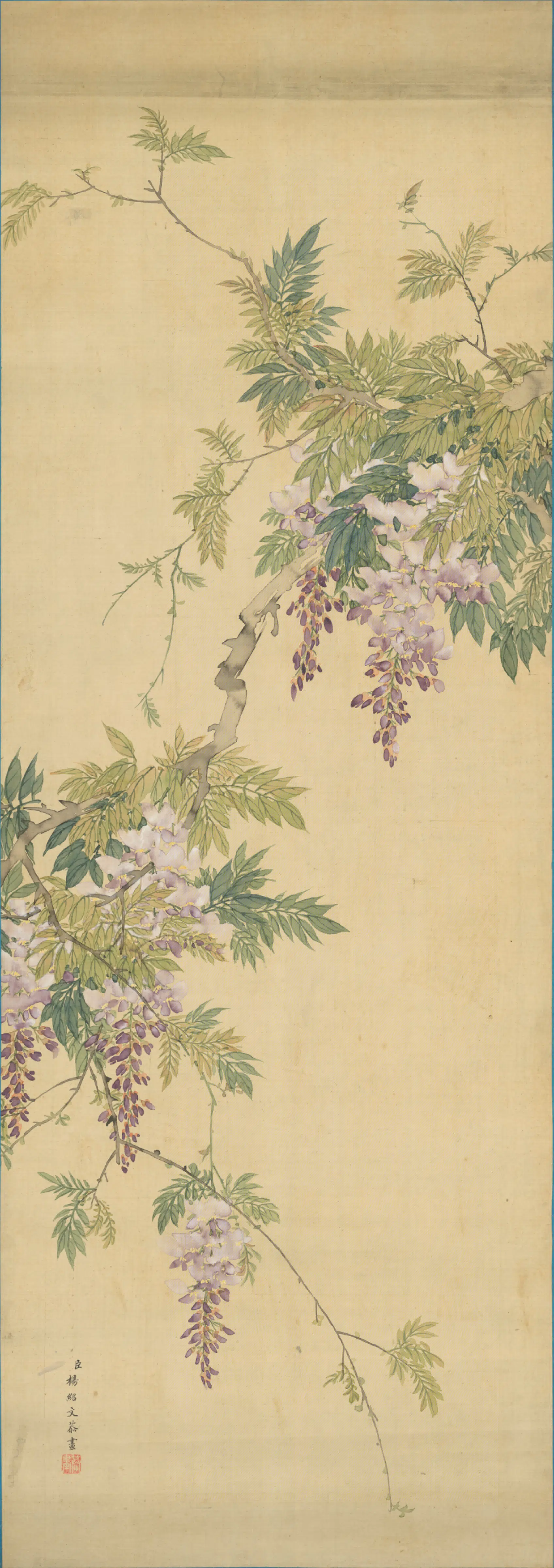 清代【杨绍文】《紫藤花贴落》