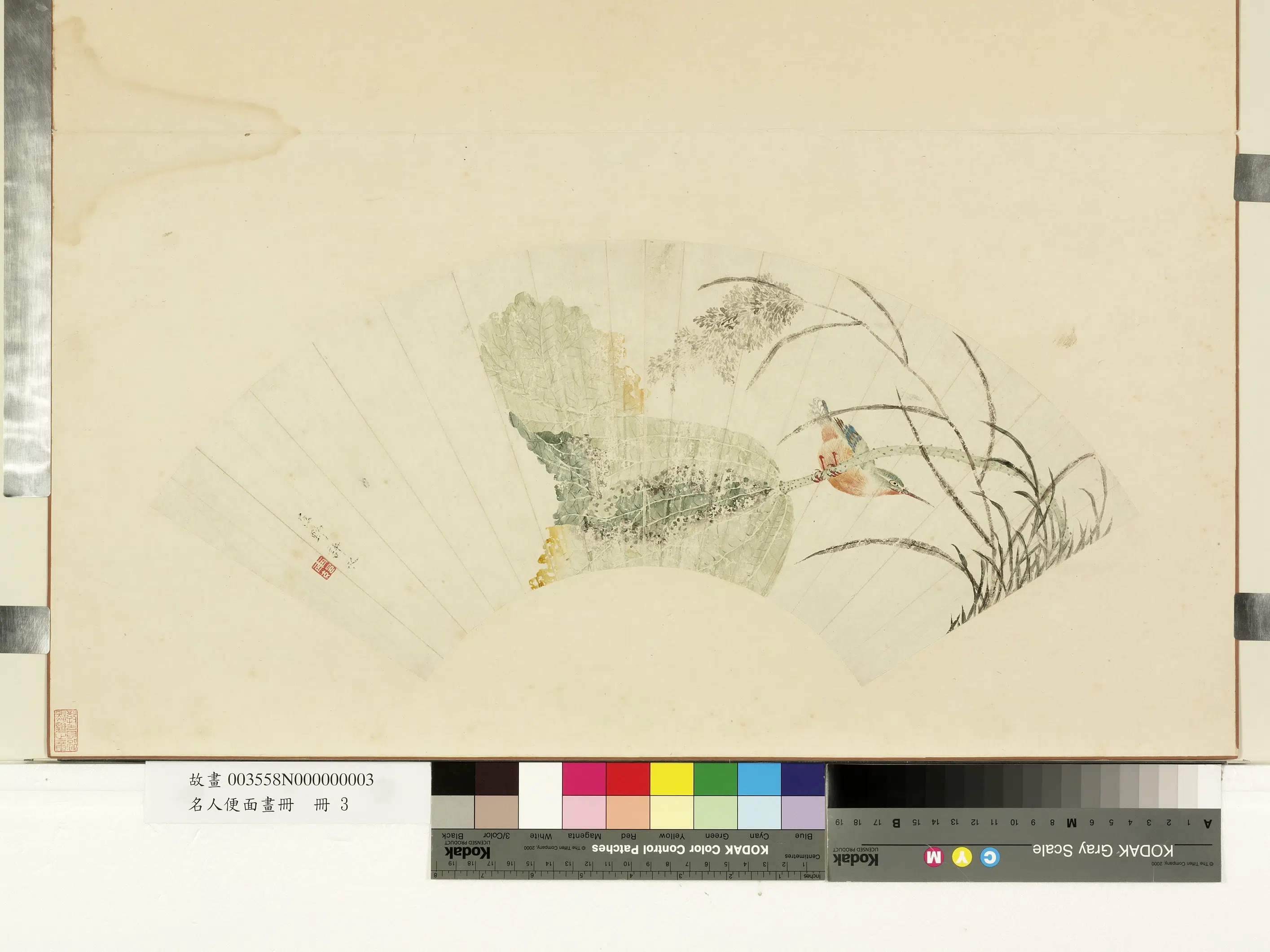 清代【许永】《名人便面画册-芦荷翠羽》 第1张