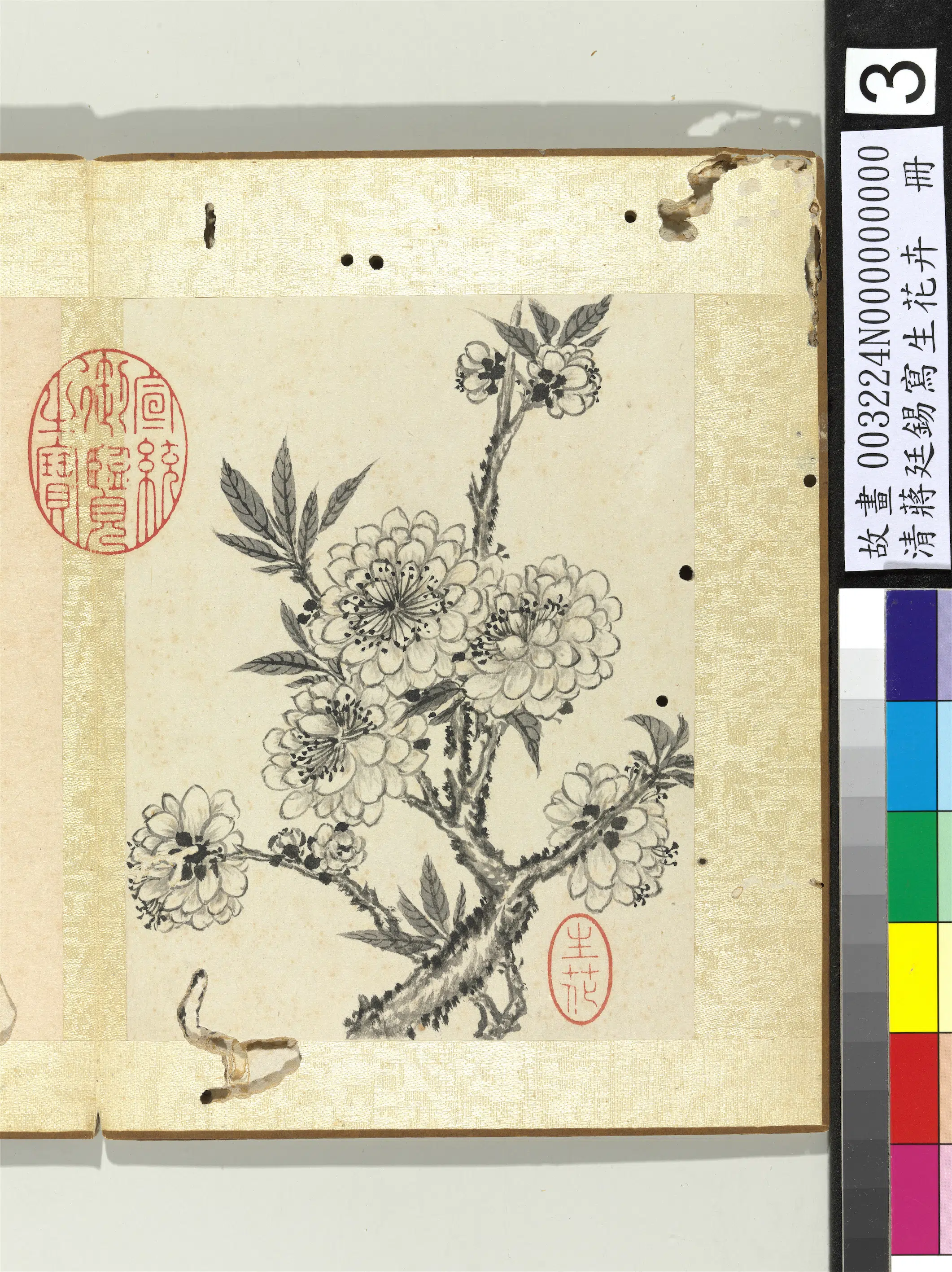 清代【蒋廷锡】《写生花卉册-碧桃》