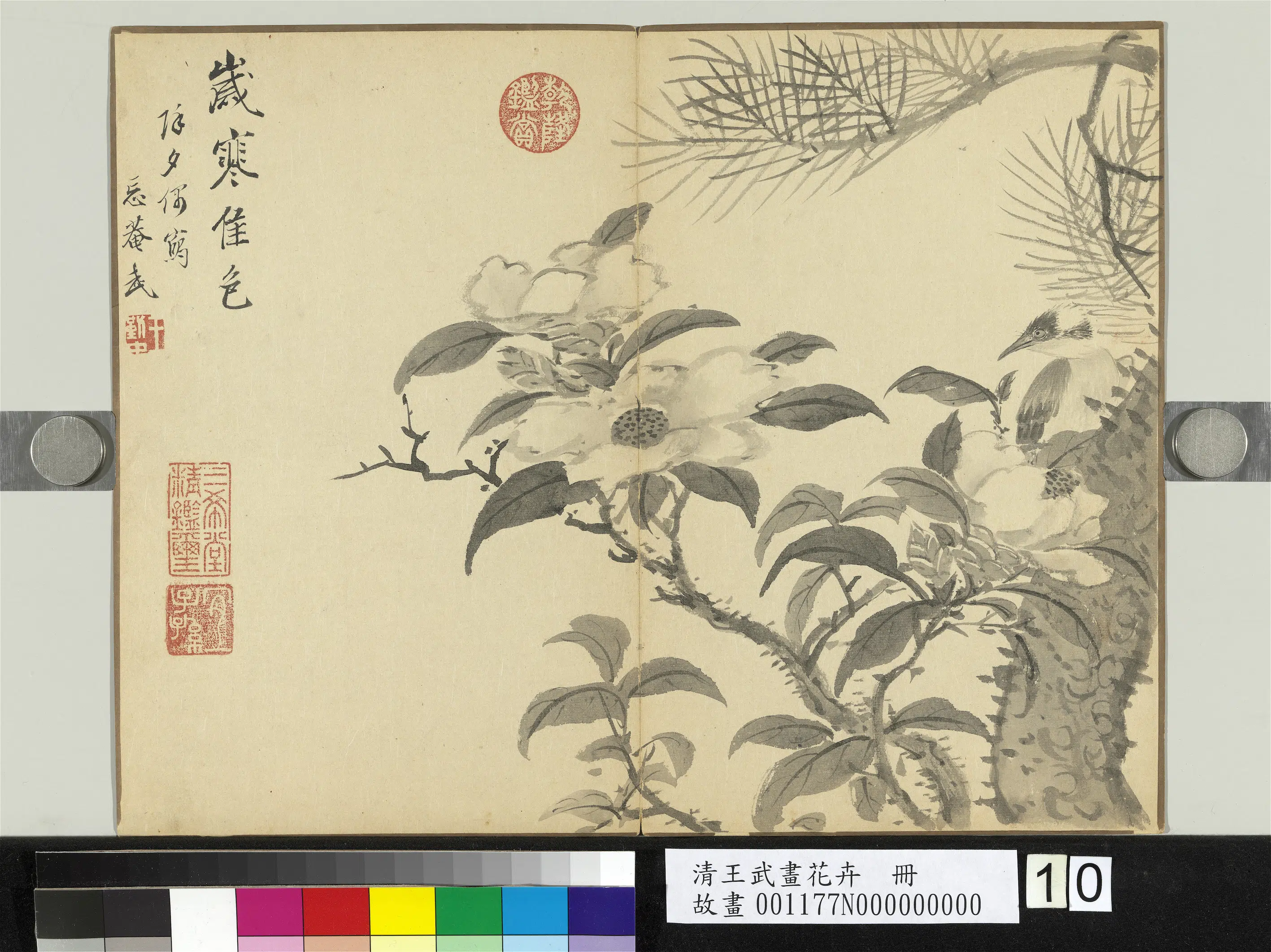 清代【王武】《画花卉册》 第2张