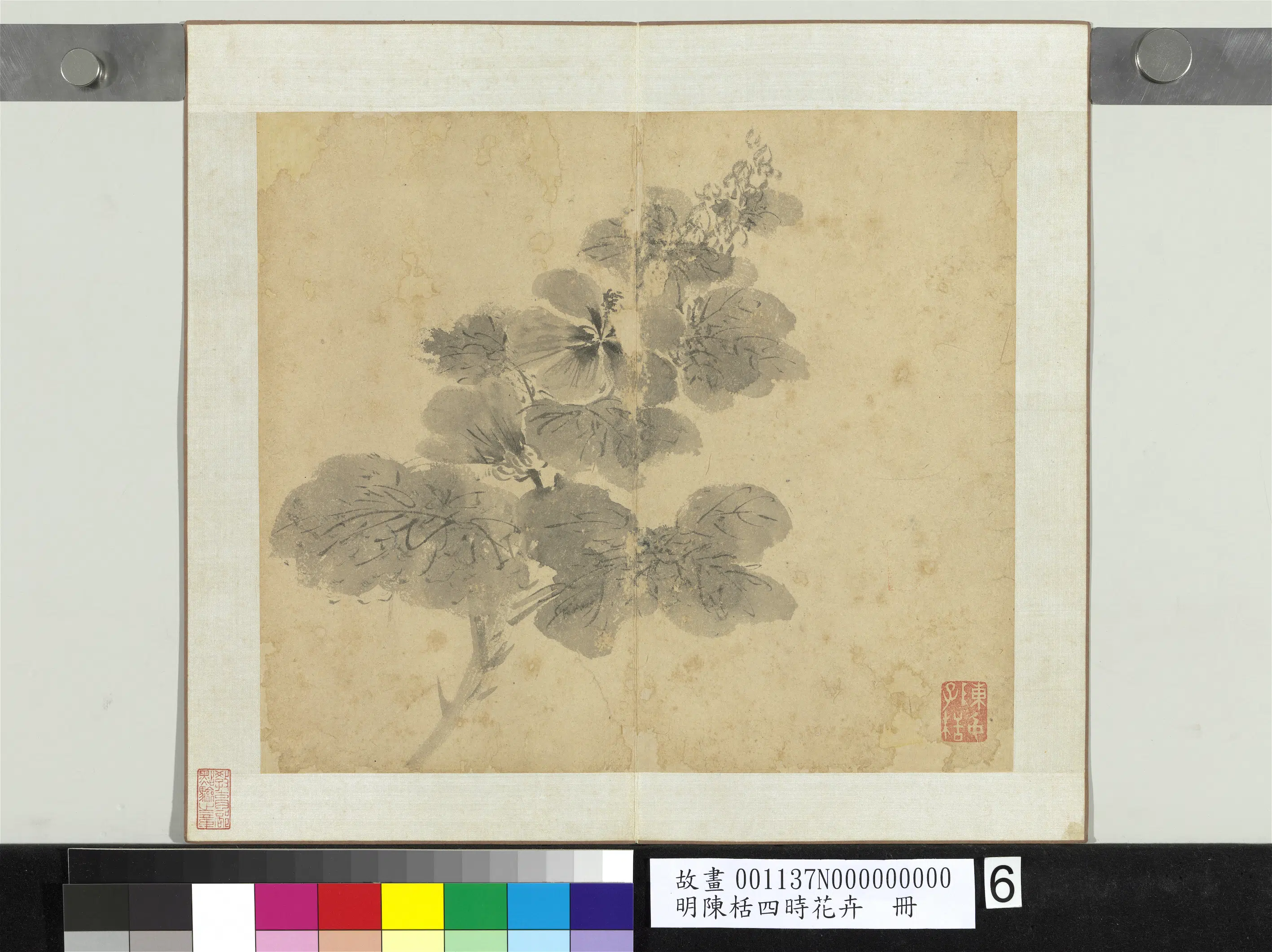 明朝【陈栝】《四时花卉册》 第3张