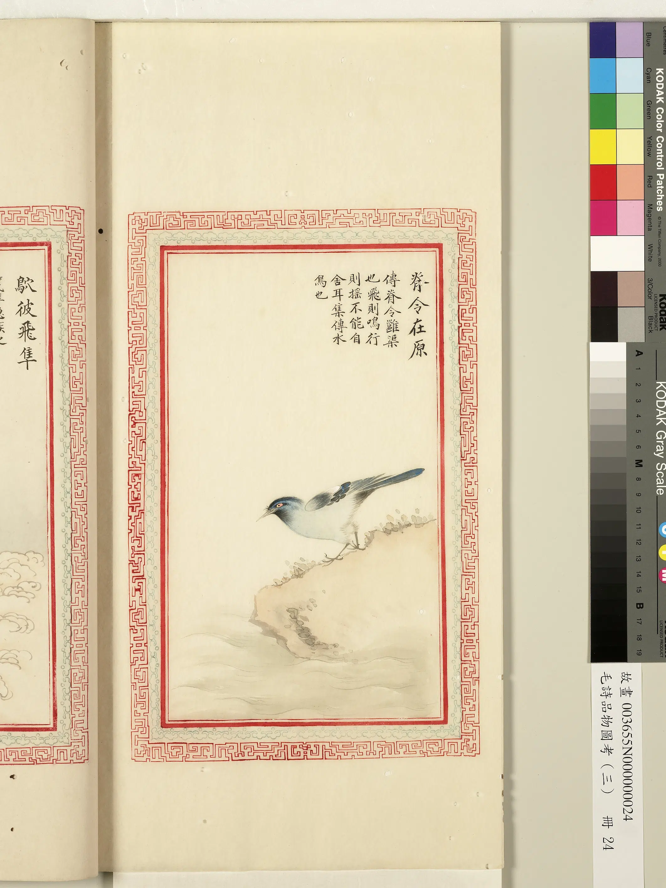 清代《毛诗品物图考(三)册-1》 第41张 清代《毛诗品物图考(三)册-1》 第41张