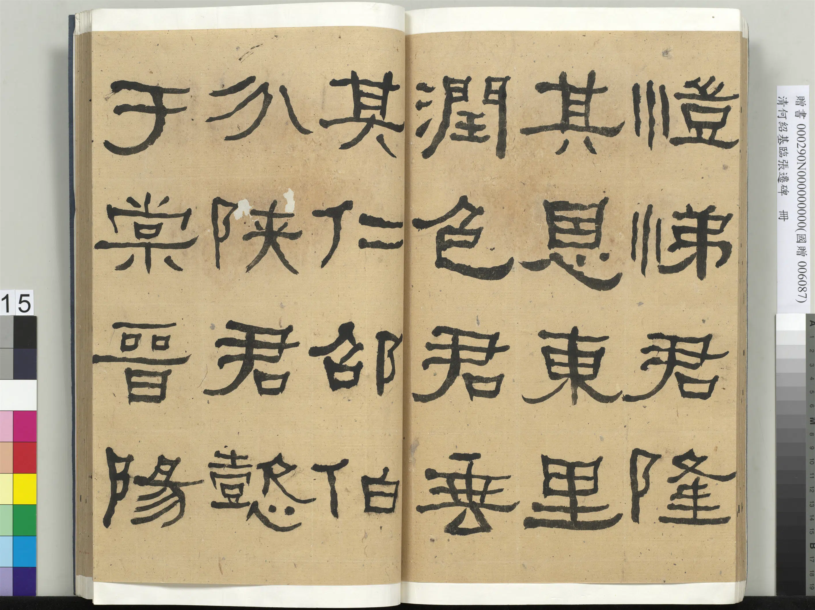 清代【何绍基】《临张迁碑册-2》 第15张
