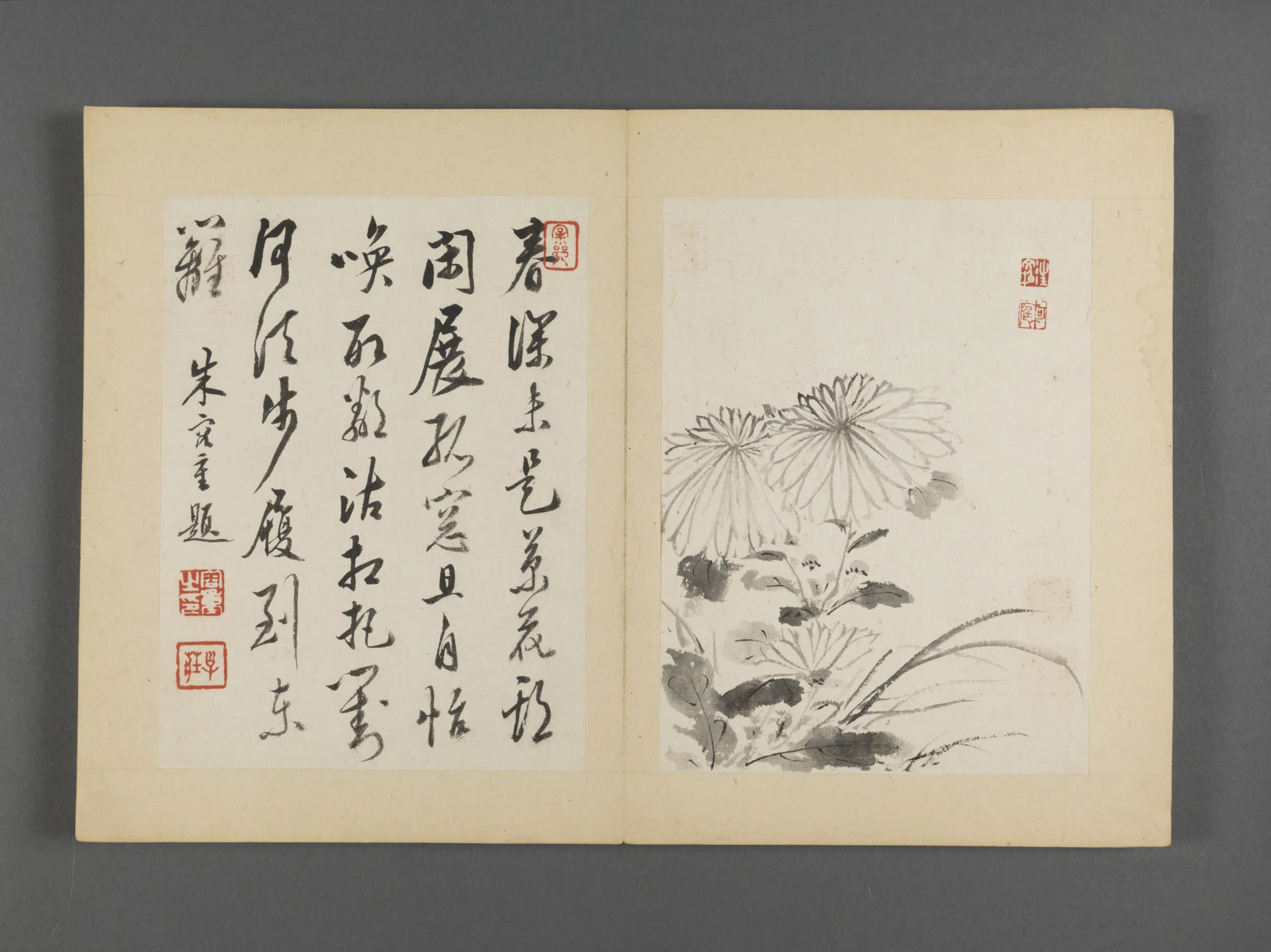 清代【朱耷】《杂画册（8开）》 第3张