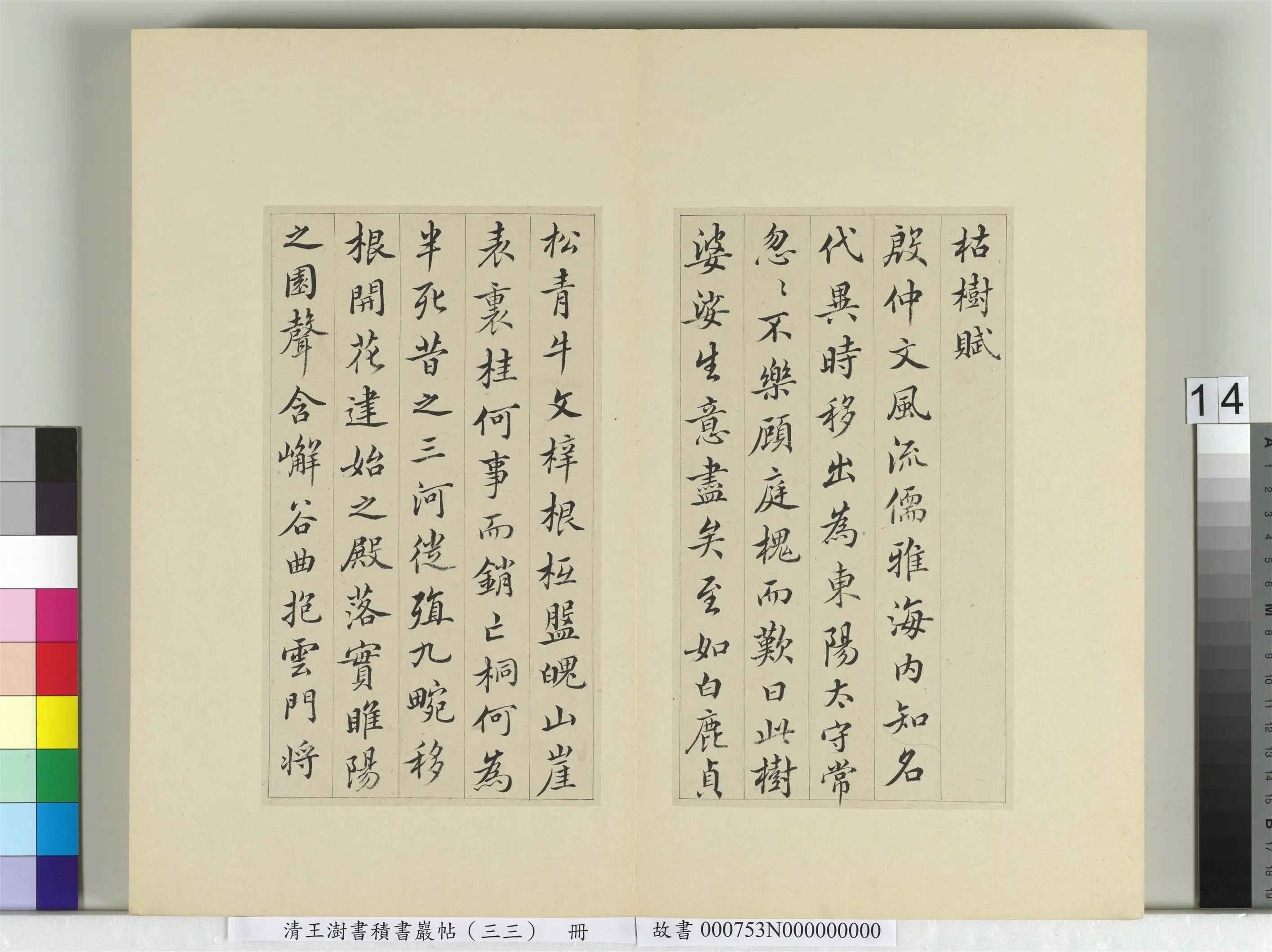 清代【王澍】《书积书岩帖(三十三)册-临褚遂良枯树赋二种》 第11张 清代【王澍】《书积书岩帖(三十三)册-临褚遂良枯树赋二种》 第11张