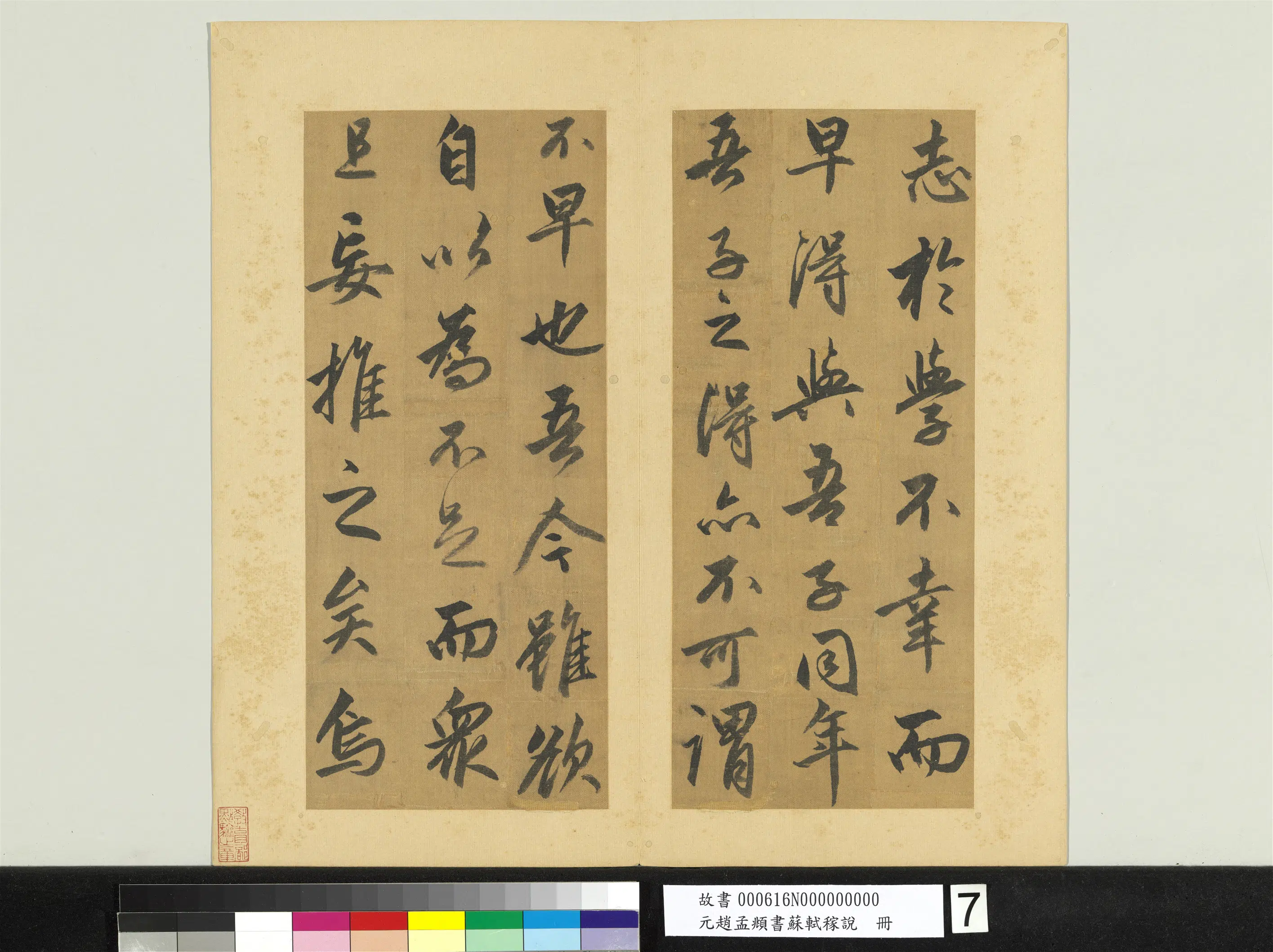 元朝【赵孟頫】《书苏轼稼说册》 第8张
