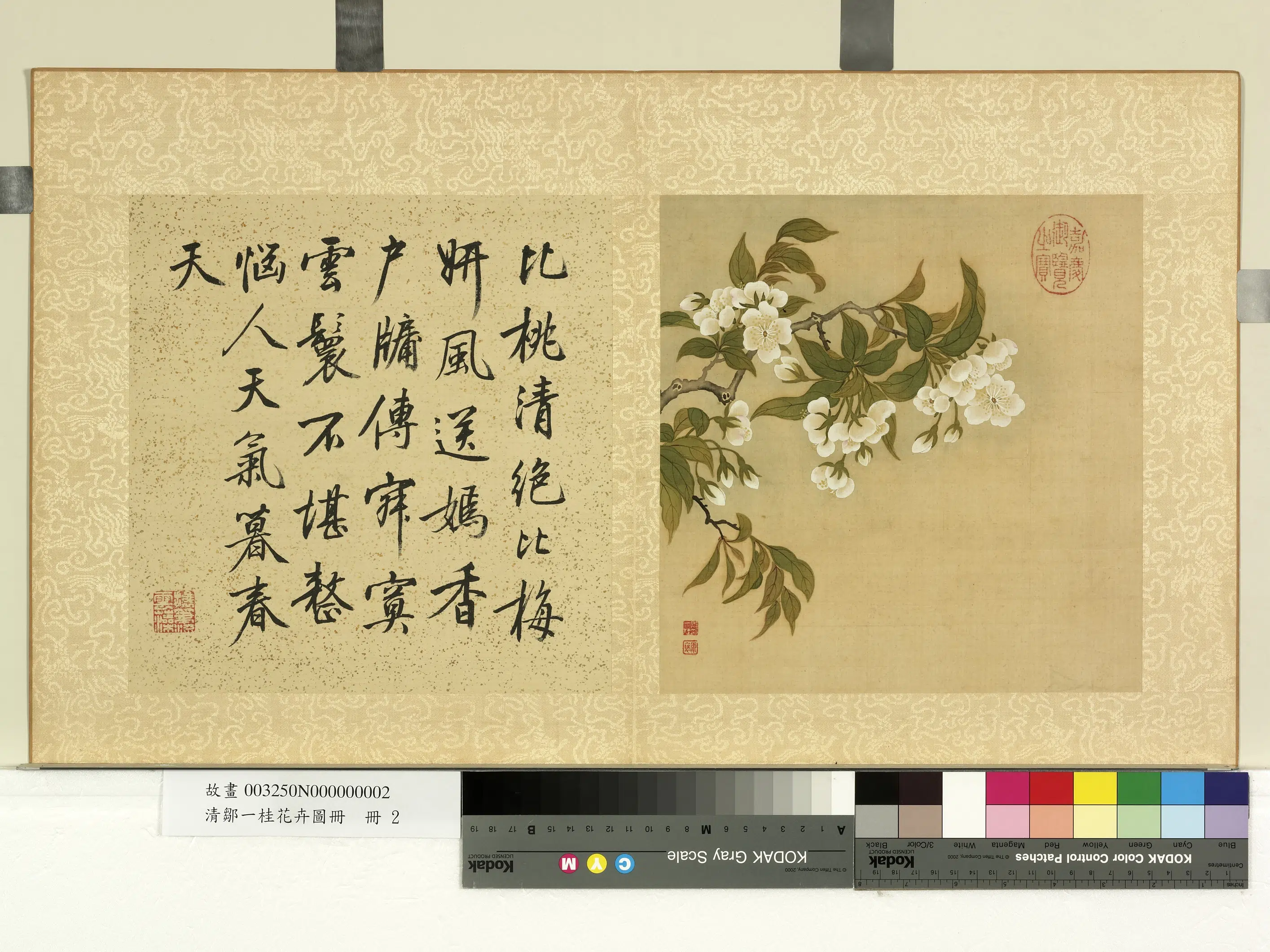 清代【邹一桂】《花卉画册-李花》
