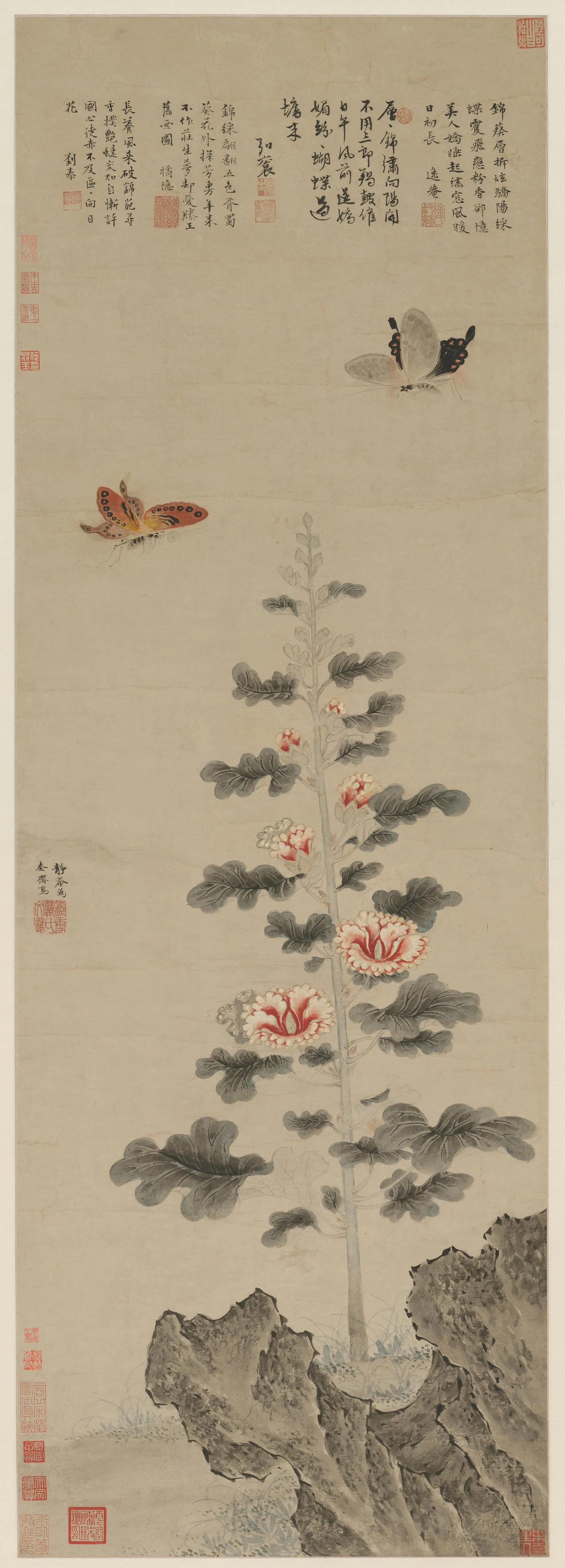 明朝【戴进】《葵石蛱蝶图轴》