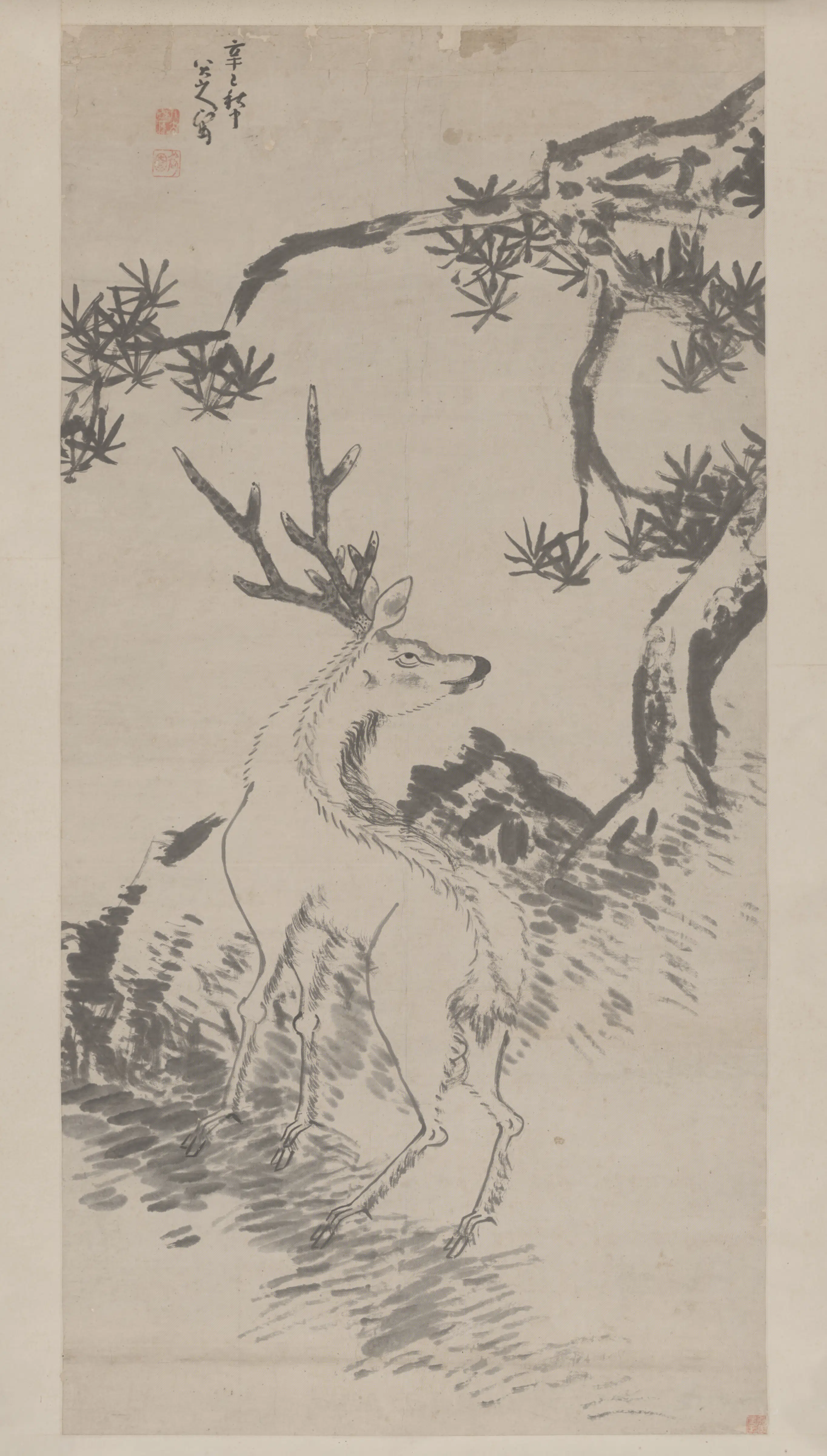 清代【朱耷】《松鹿图轴-3》