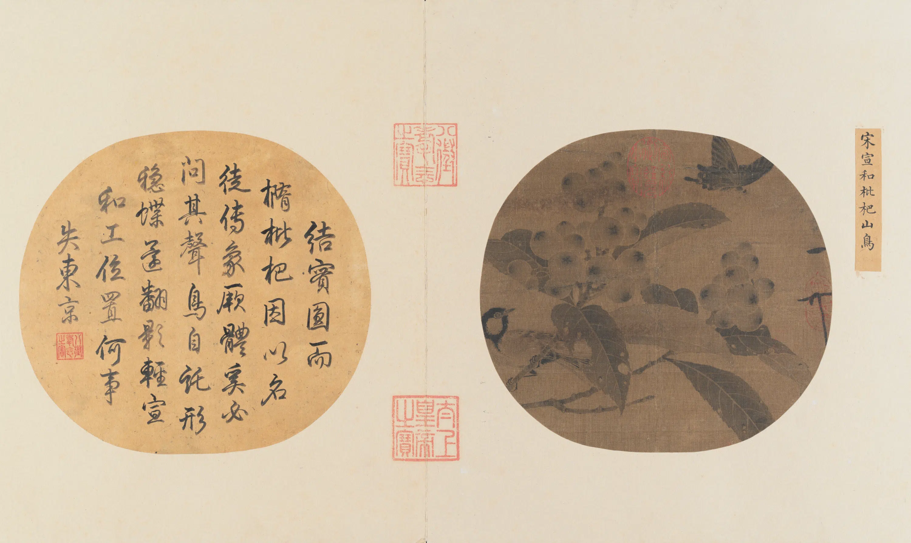 宋代【赵佶】《四朝选藻元册-枇杷山鸟页》