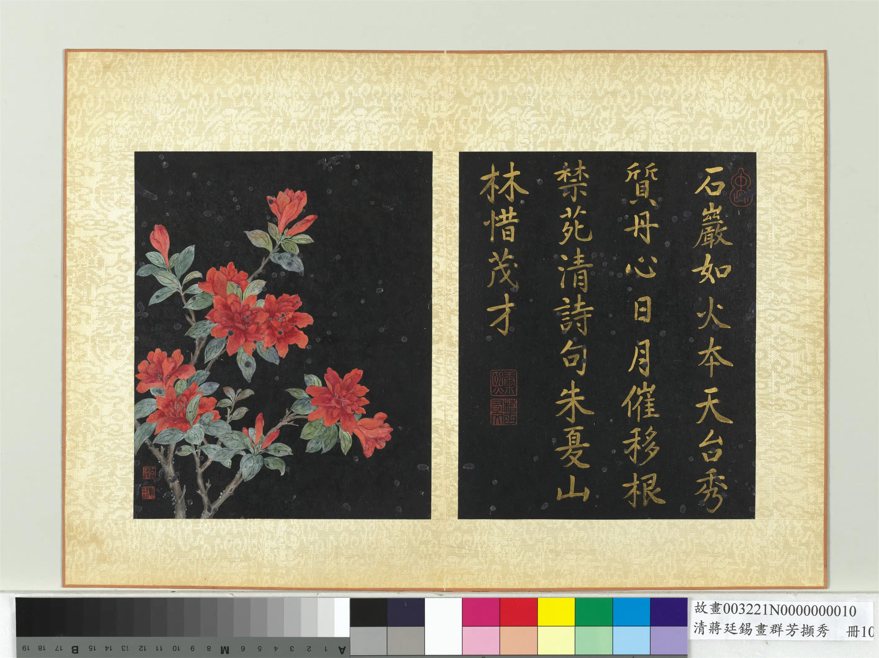清代【蒋廷锡】《画群芳撷秀册-杜鹃》
