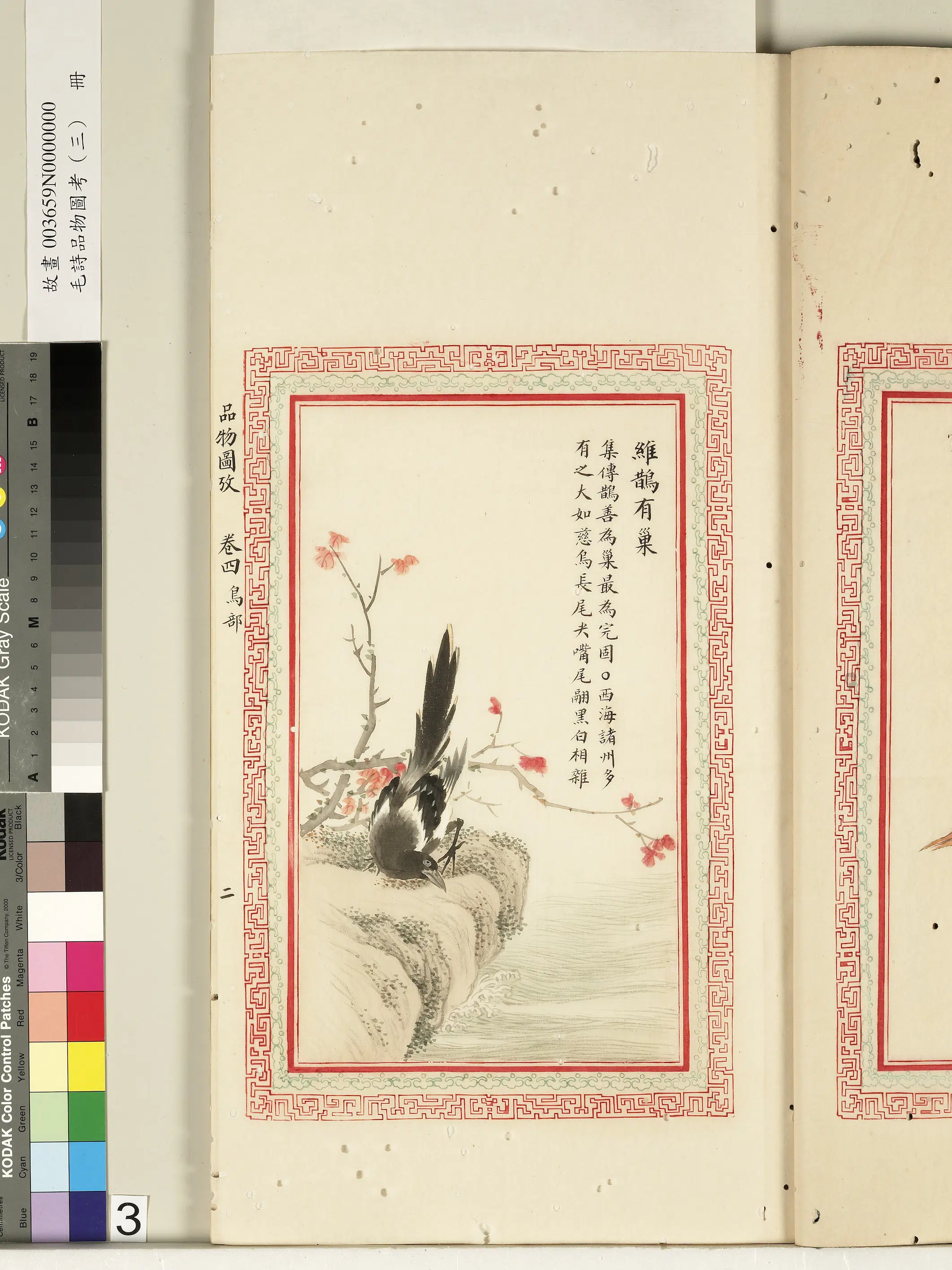 清代《毛诗品物图考(三)册-2》 第35张 清代《毛诗品物图考(三)册-2》 第35张