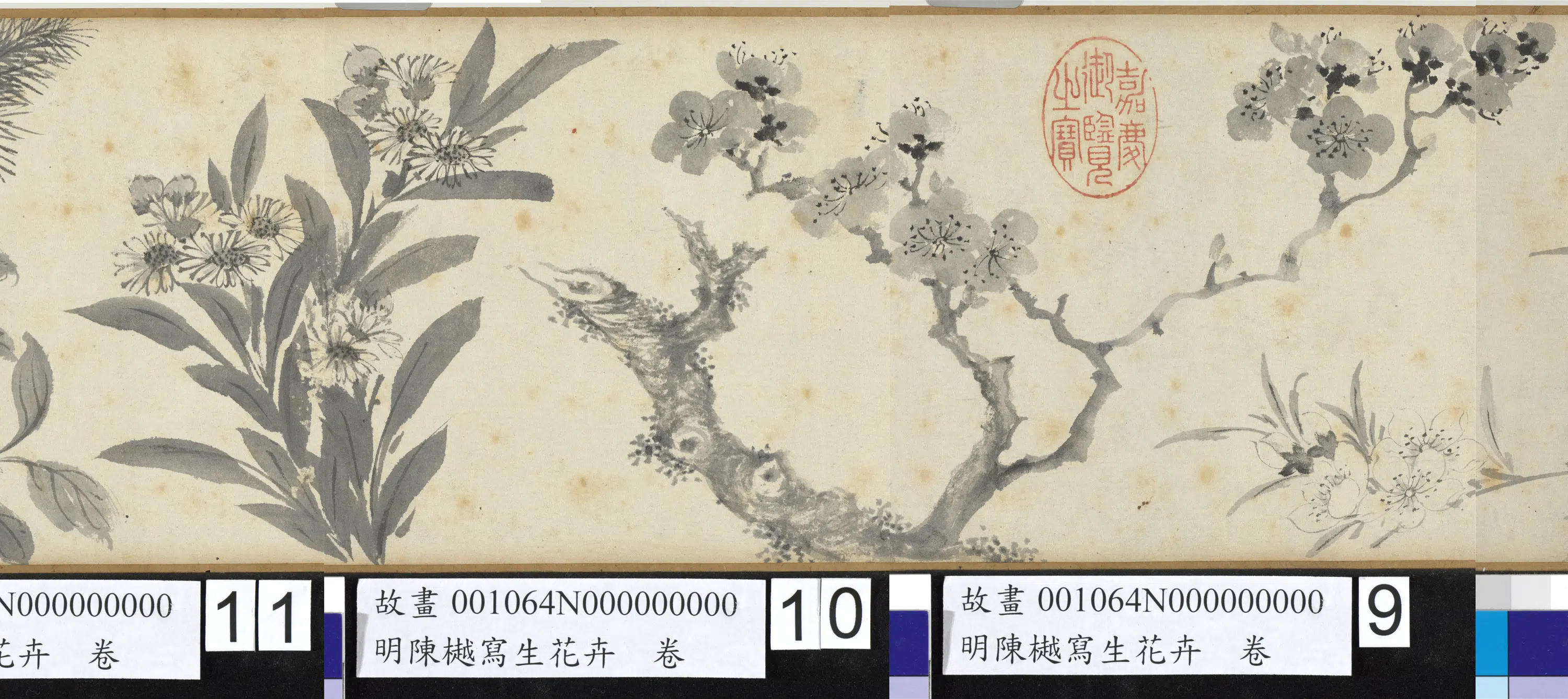 明朝【陈樾】《写生花卉卷》 第4张
