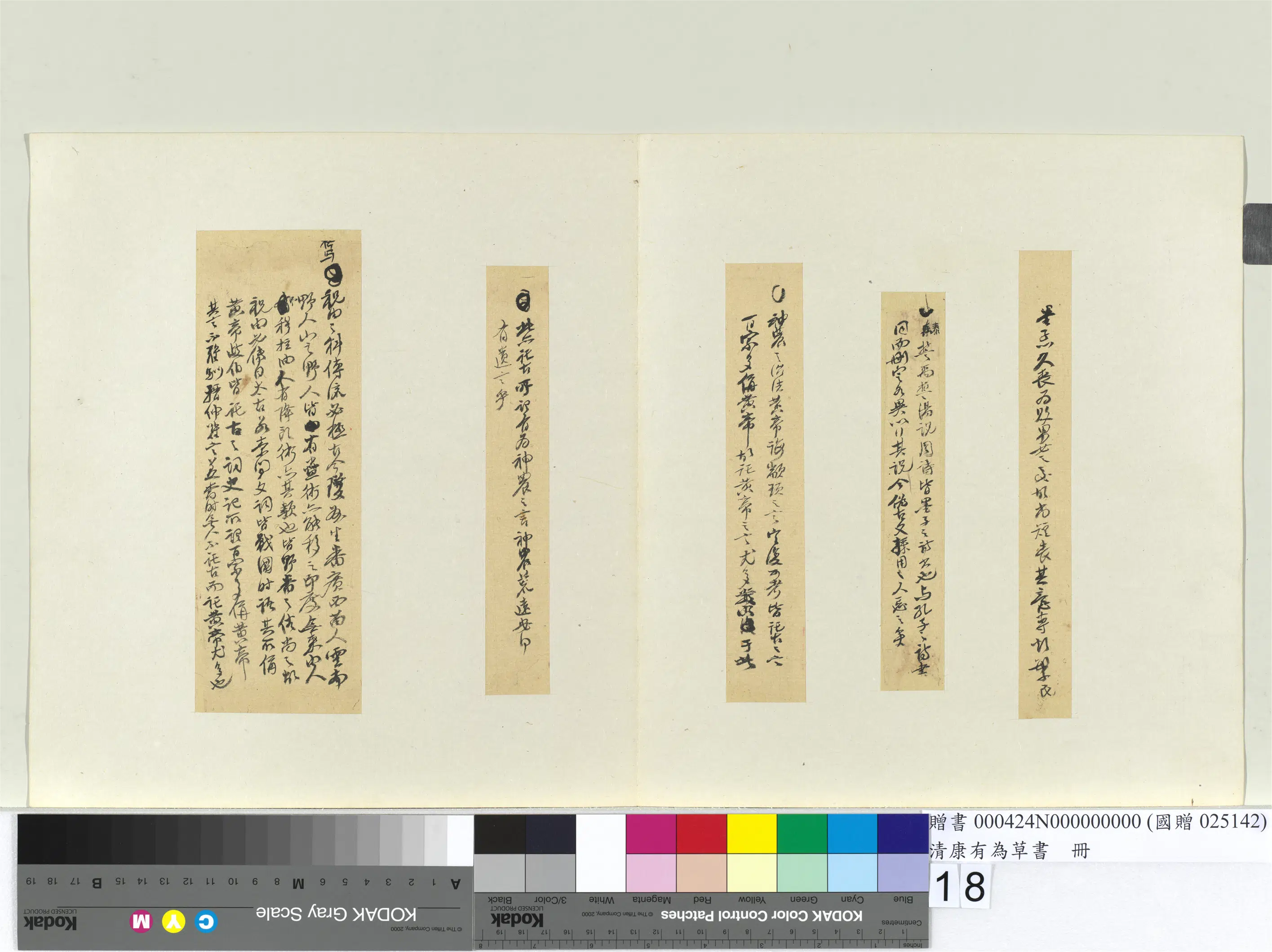 清代【康有为】《草书册》 第10张