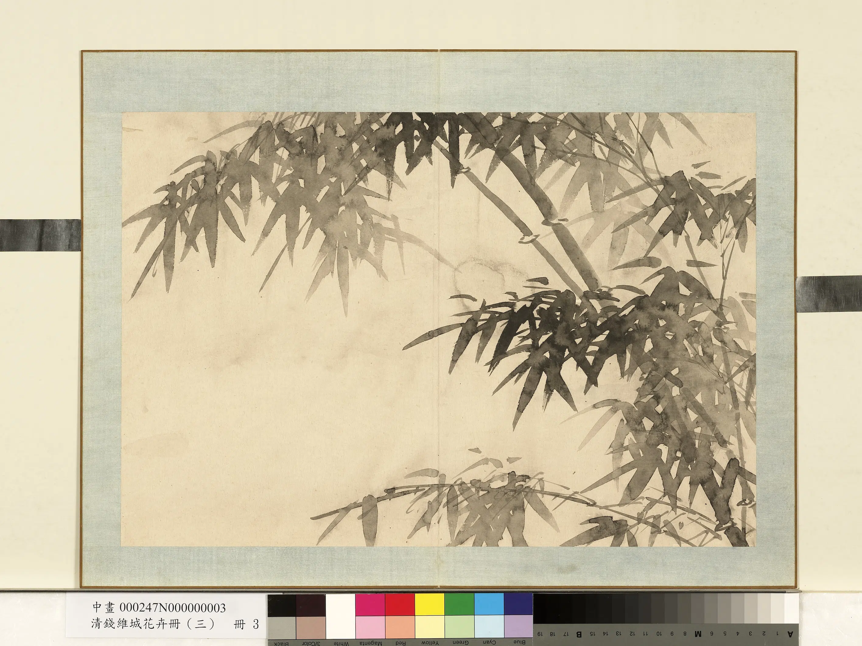 清代【钱维城】《花卉册（三）册-画竹之三》
