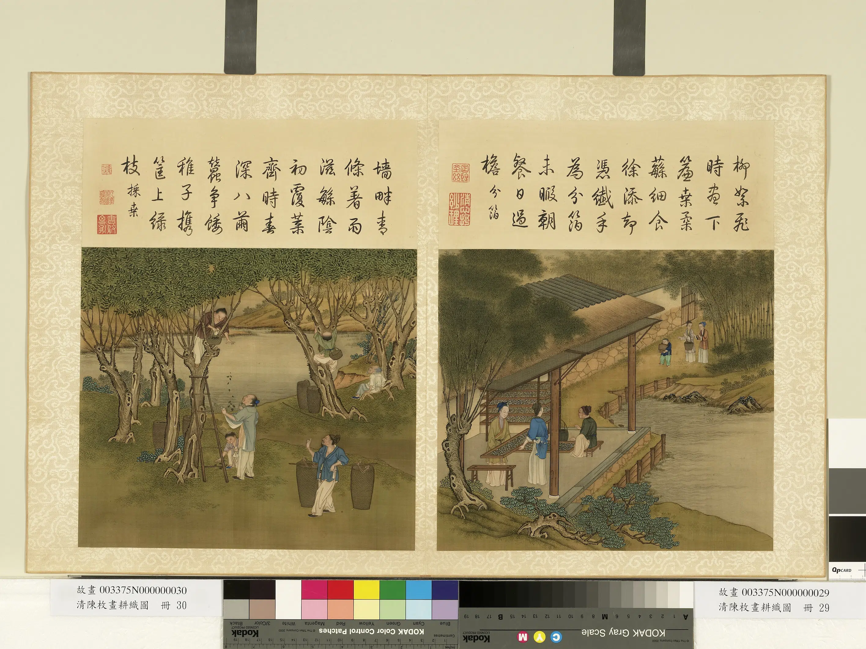 清代【陈枚】《耕织图册》 第6张