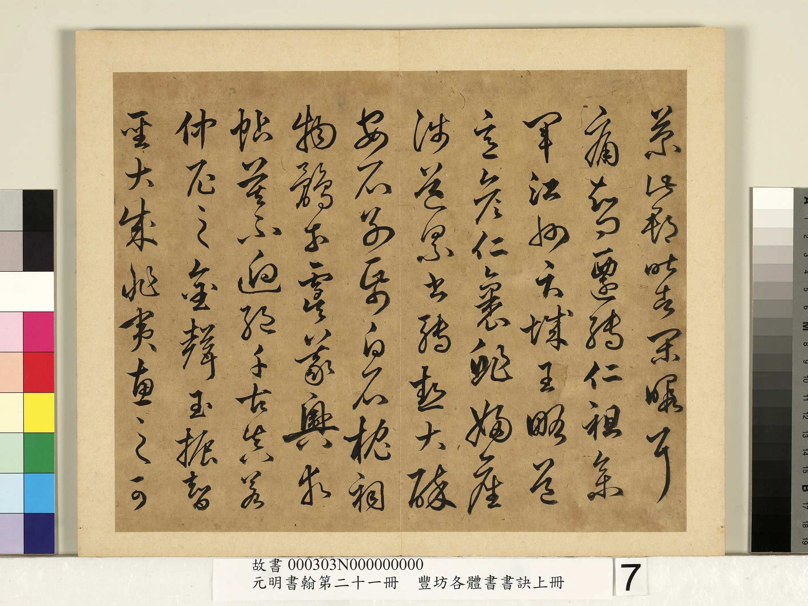 明朝【丰坊（丰道生）】《元明书翰第二十一册-各体书书诀（上册）》 第12张