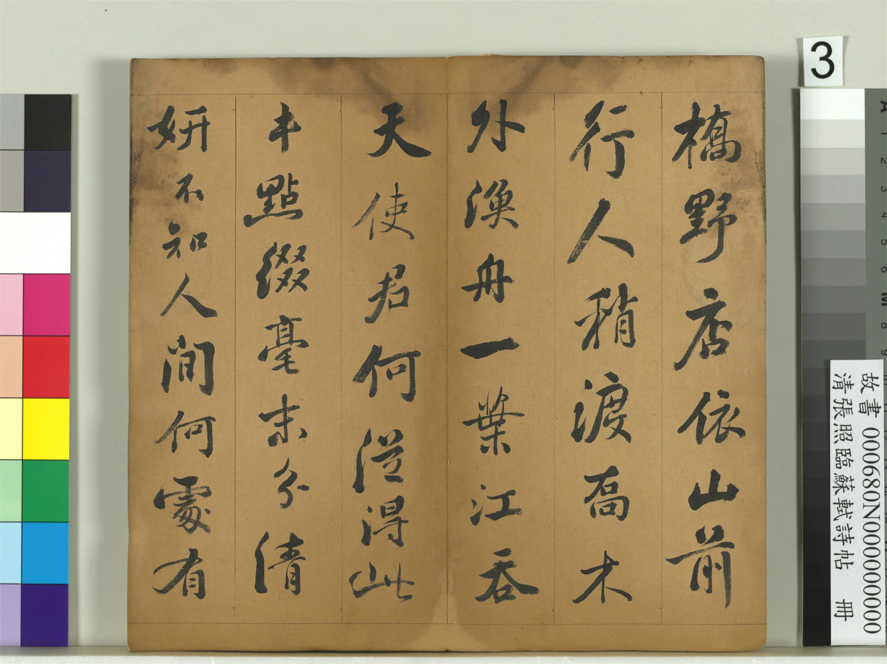 清代【张照】《临苏轼诗帖册》 第14张