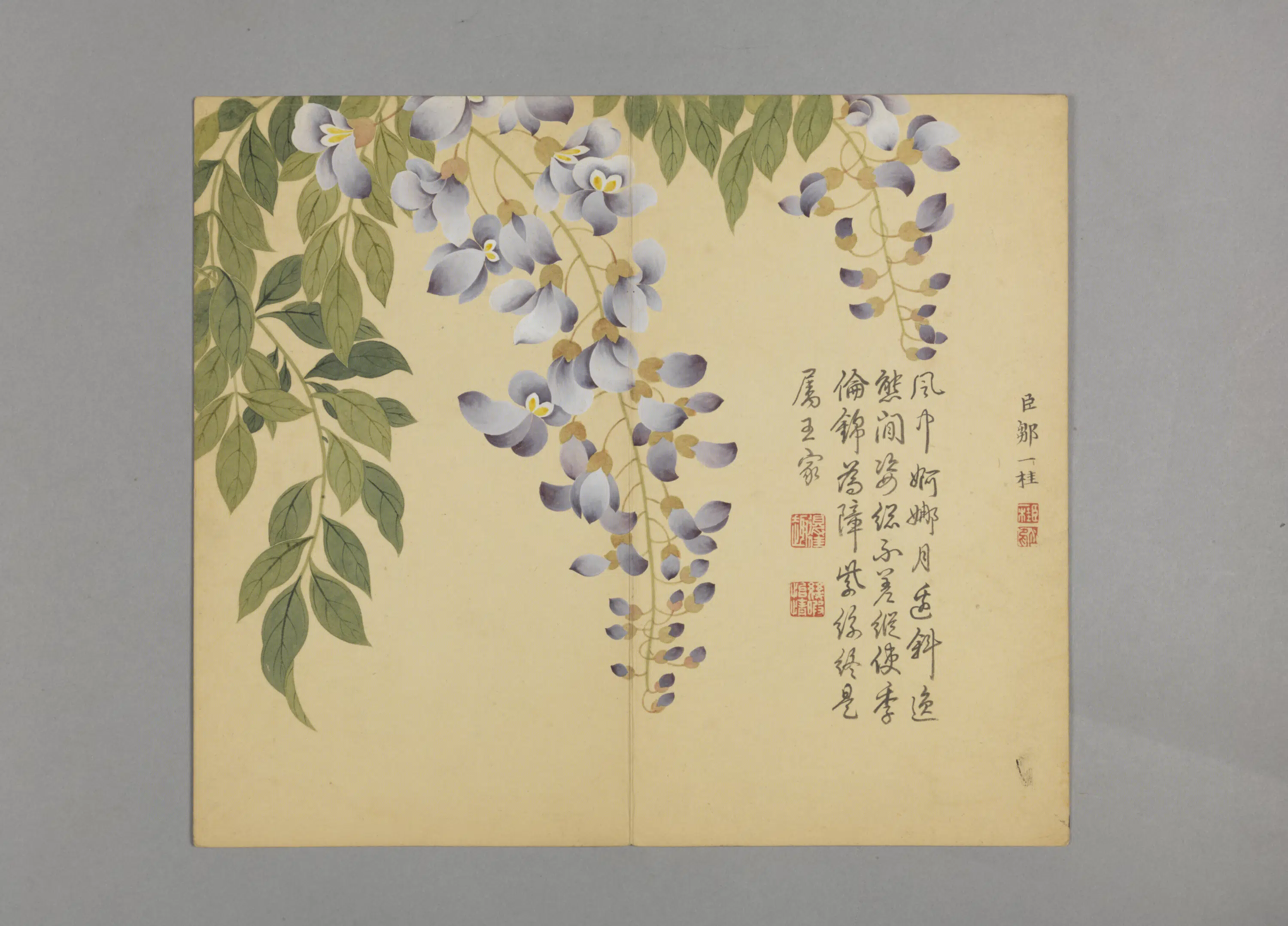 清代【邹一桂】《花鸟草虫图册（12开）》 第7张