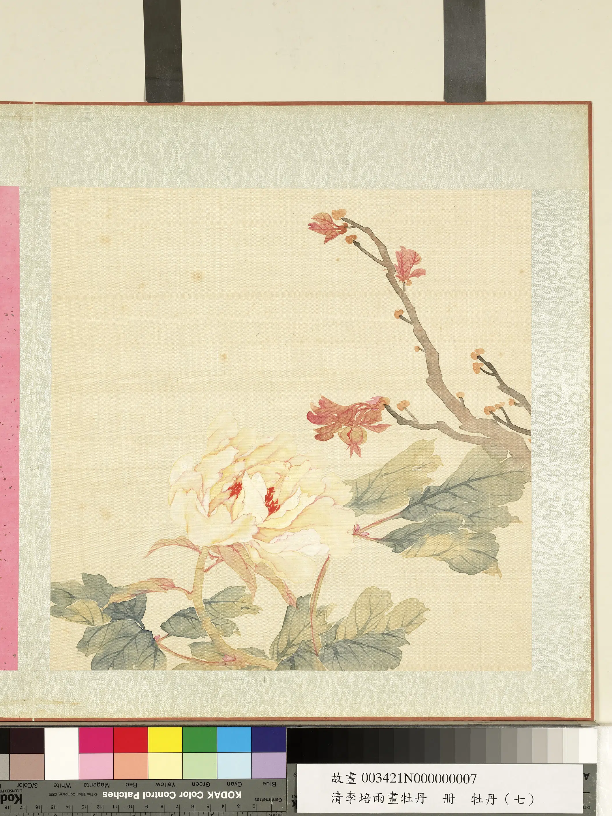 清代【李培雨】《画牡丹册-牡丹(七)》 第1张 清代【李培雨】《画牡丹册-牡丹(七)》 第1张