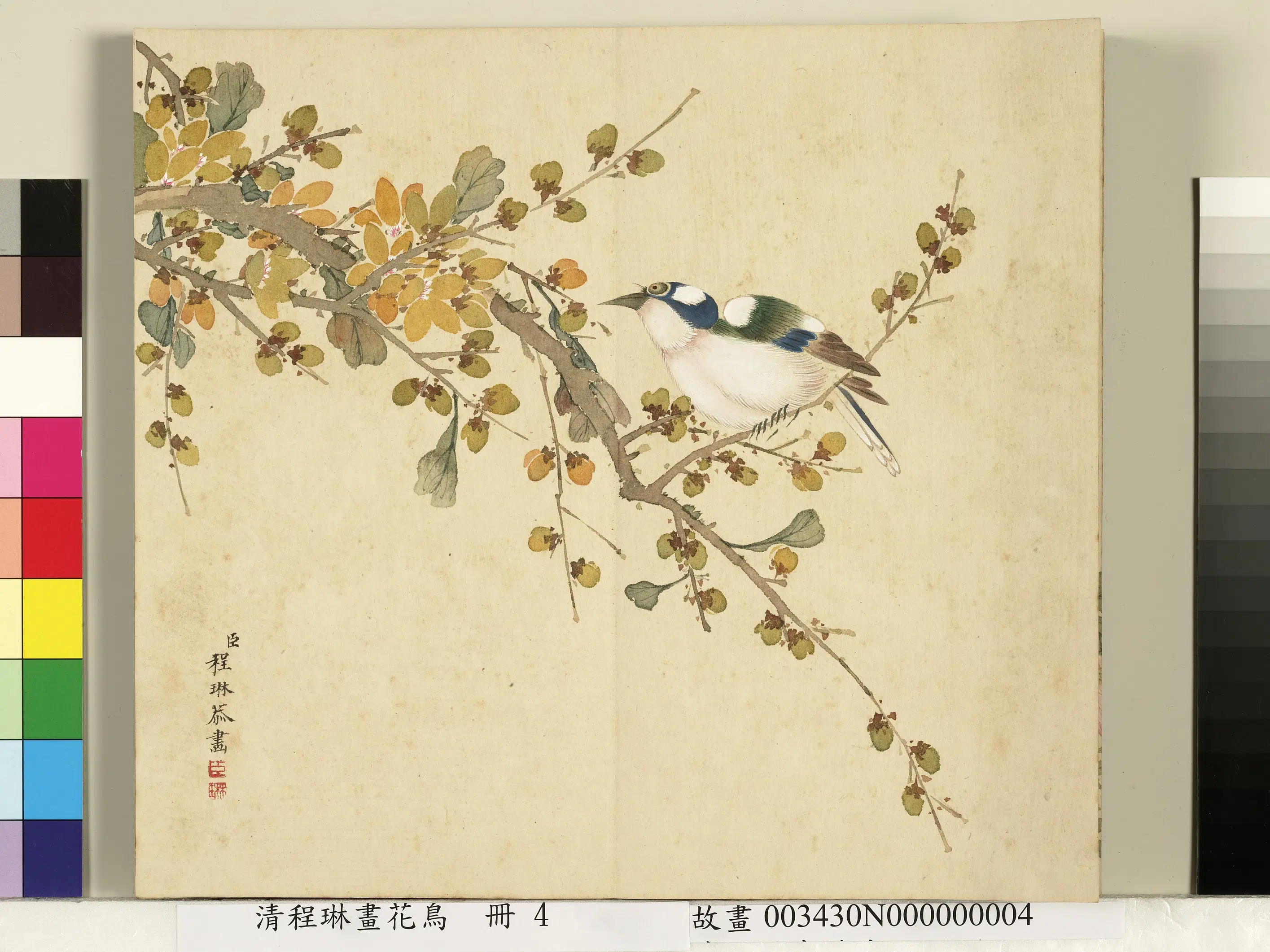 清代【程琳】《画花鸟册-腊梅山雀》 第1张 清代【程琳】《画花鸟册-腊梅山雀》 第1张