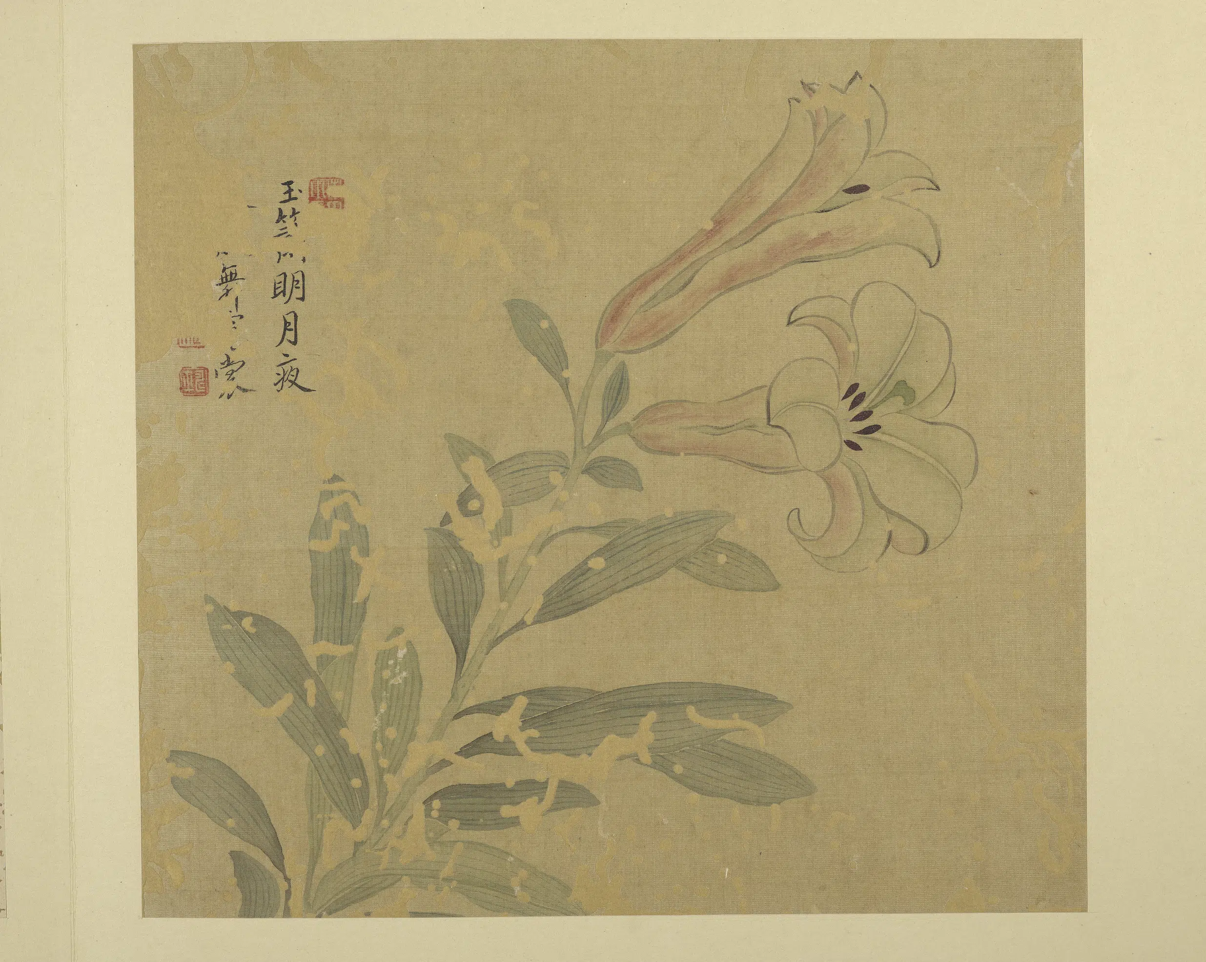 清代【恽寿平】《画花卉册-百合》