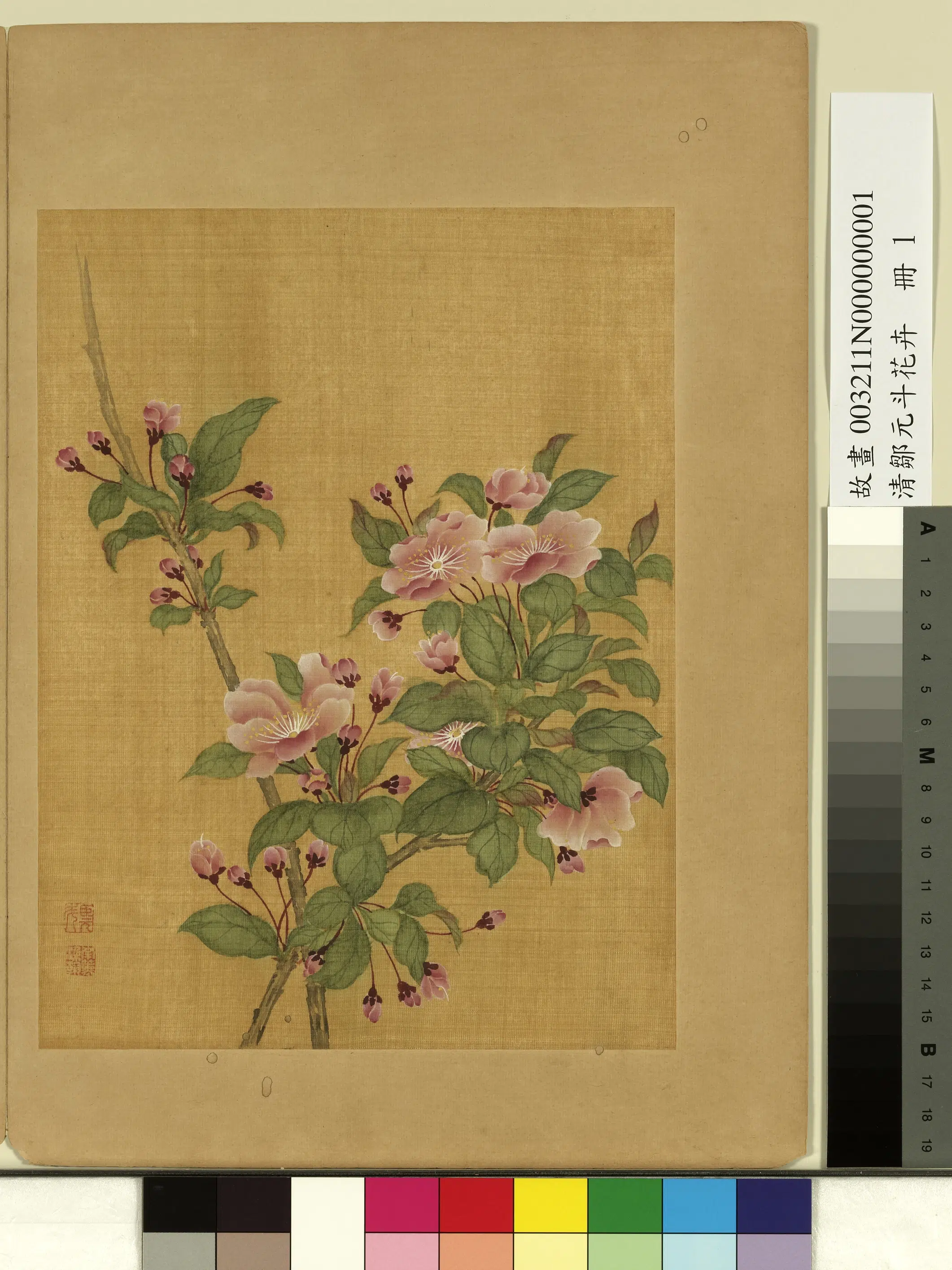 清代【邹元斗】《花卉册-木海棠》 第1张 清代【邹元斗】《花卉册-木海棠》 第1张