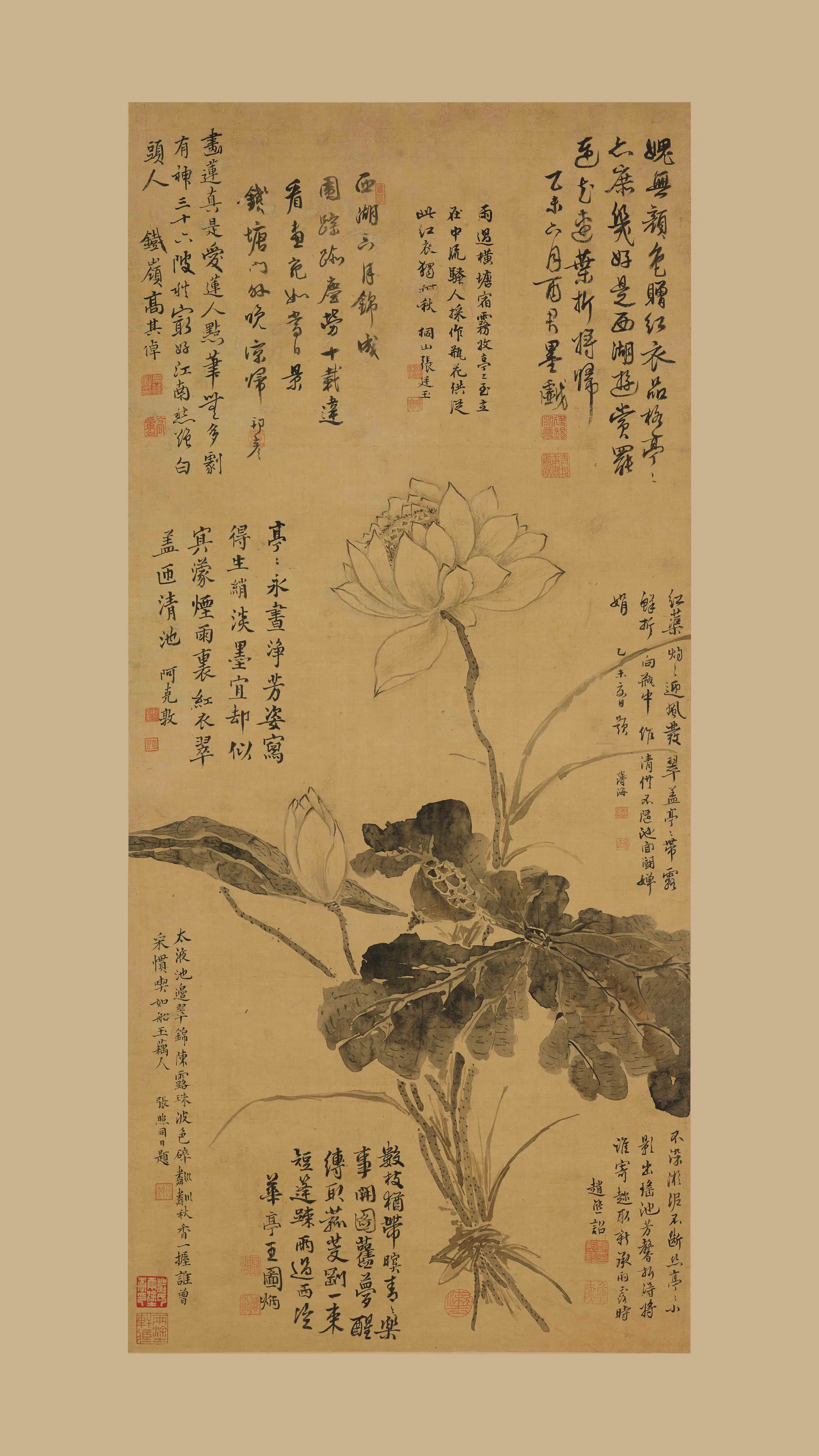 清代【蒋廷锡】《墨荷图轴》