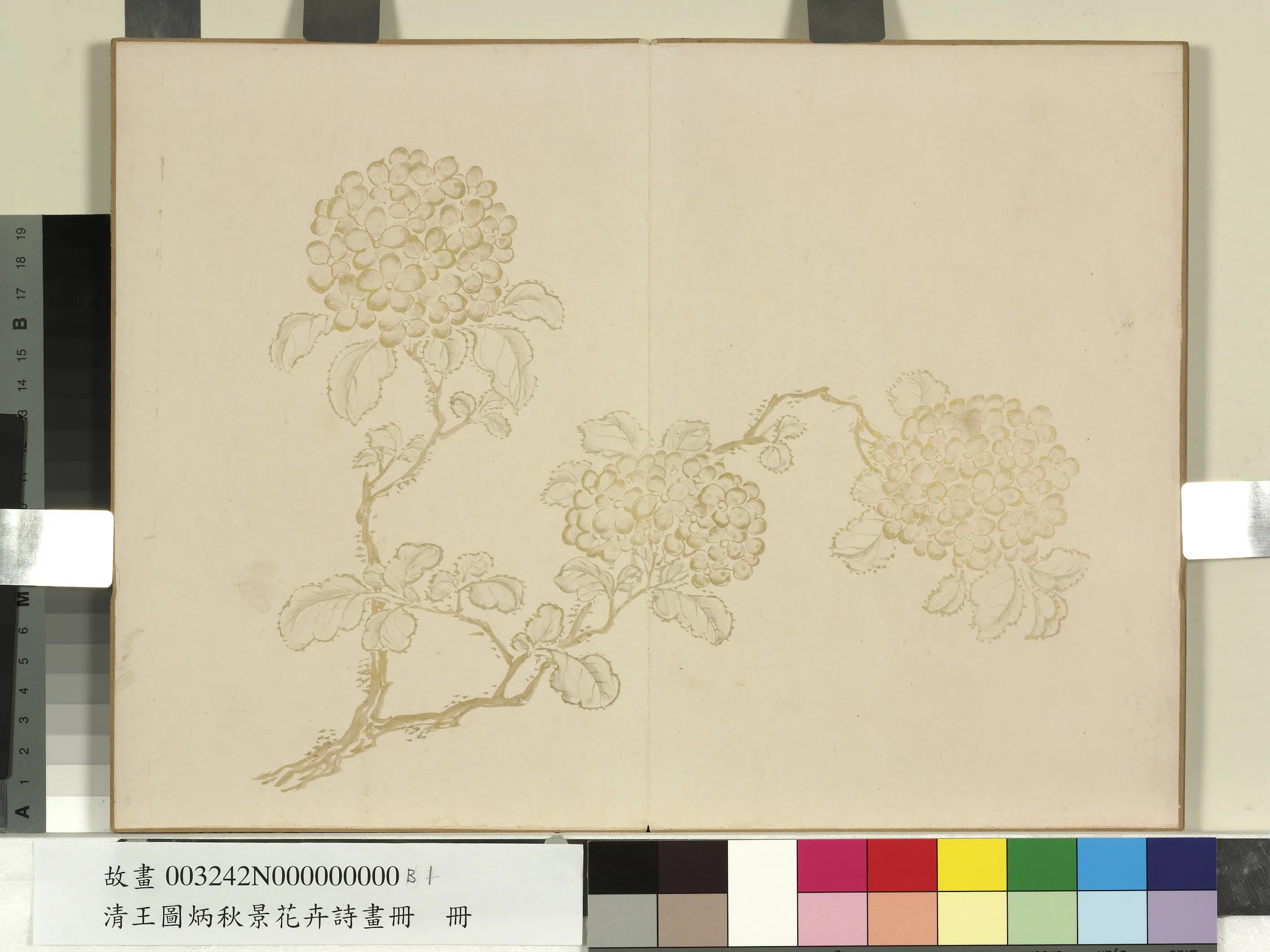 清代【王图炳】《秋景花卉诗画册》 第3张 清代【王图炳】《秋景花卉诗画册》 第3张