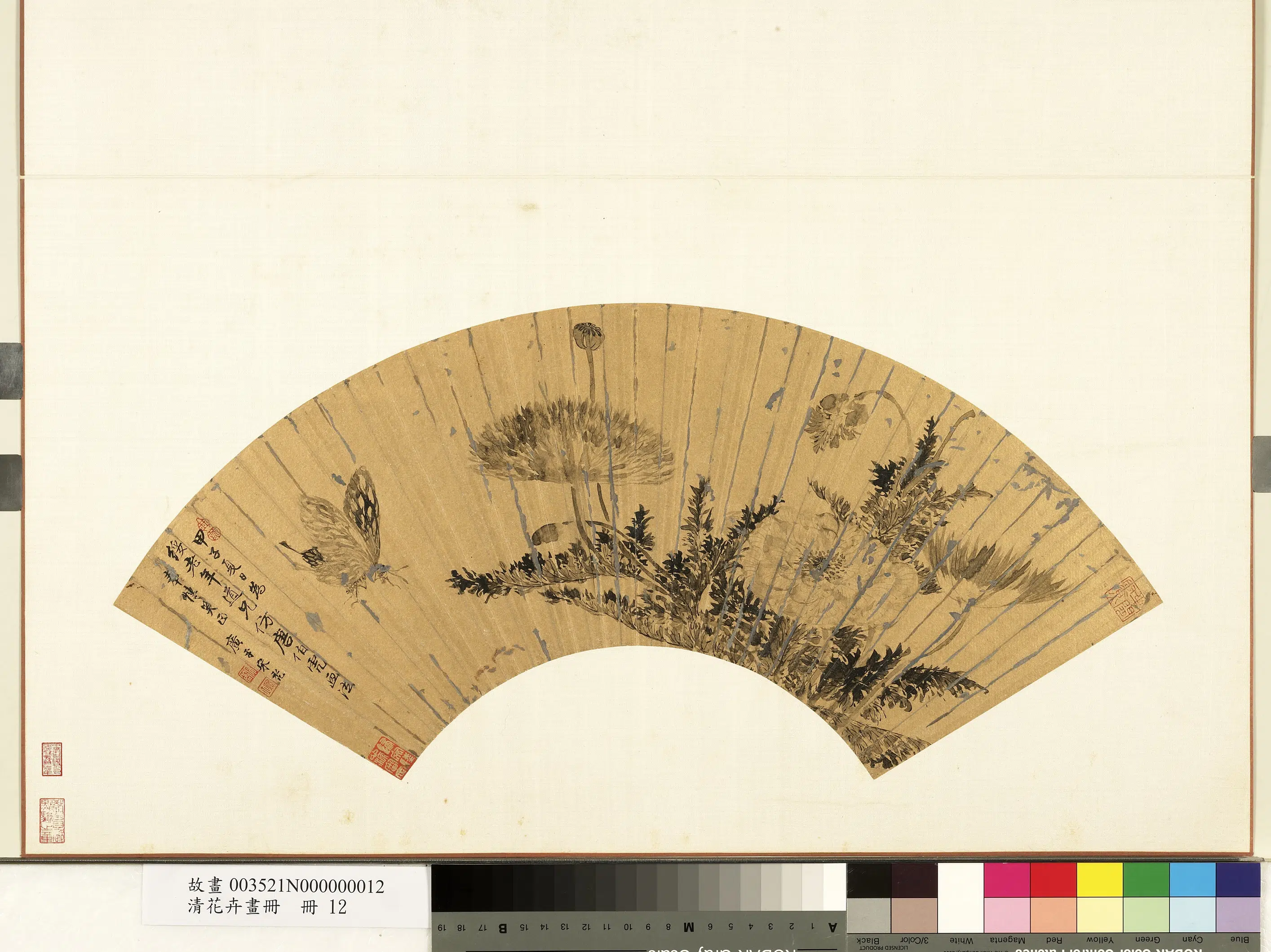 清代【宋裔】《花卉画册-罂粟》