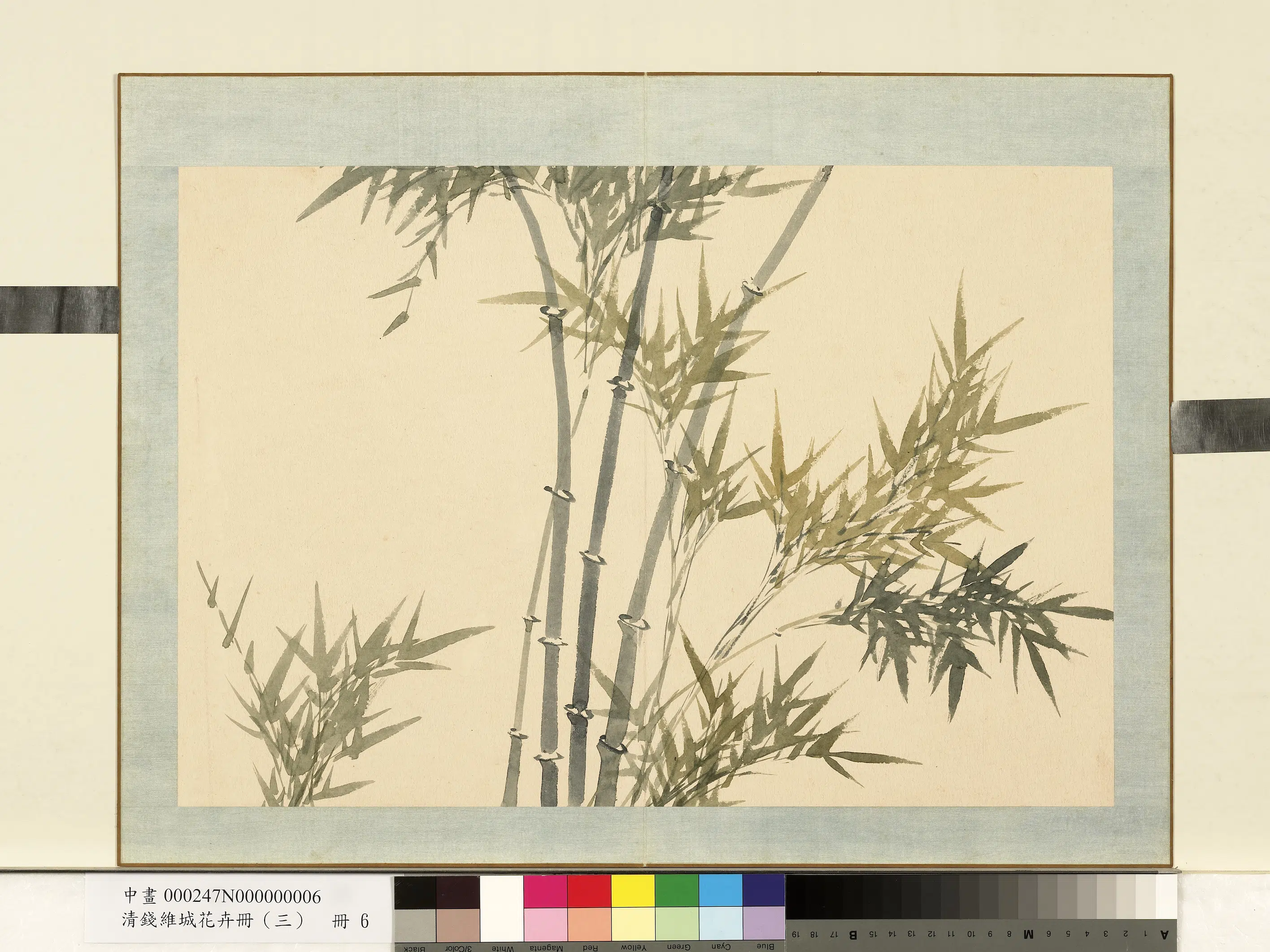 清代【钱维城】《花卉册（三）册-画竹之六》