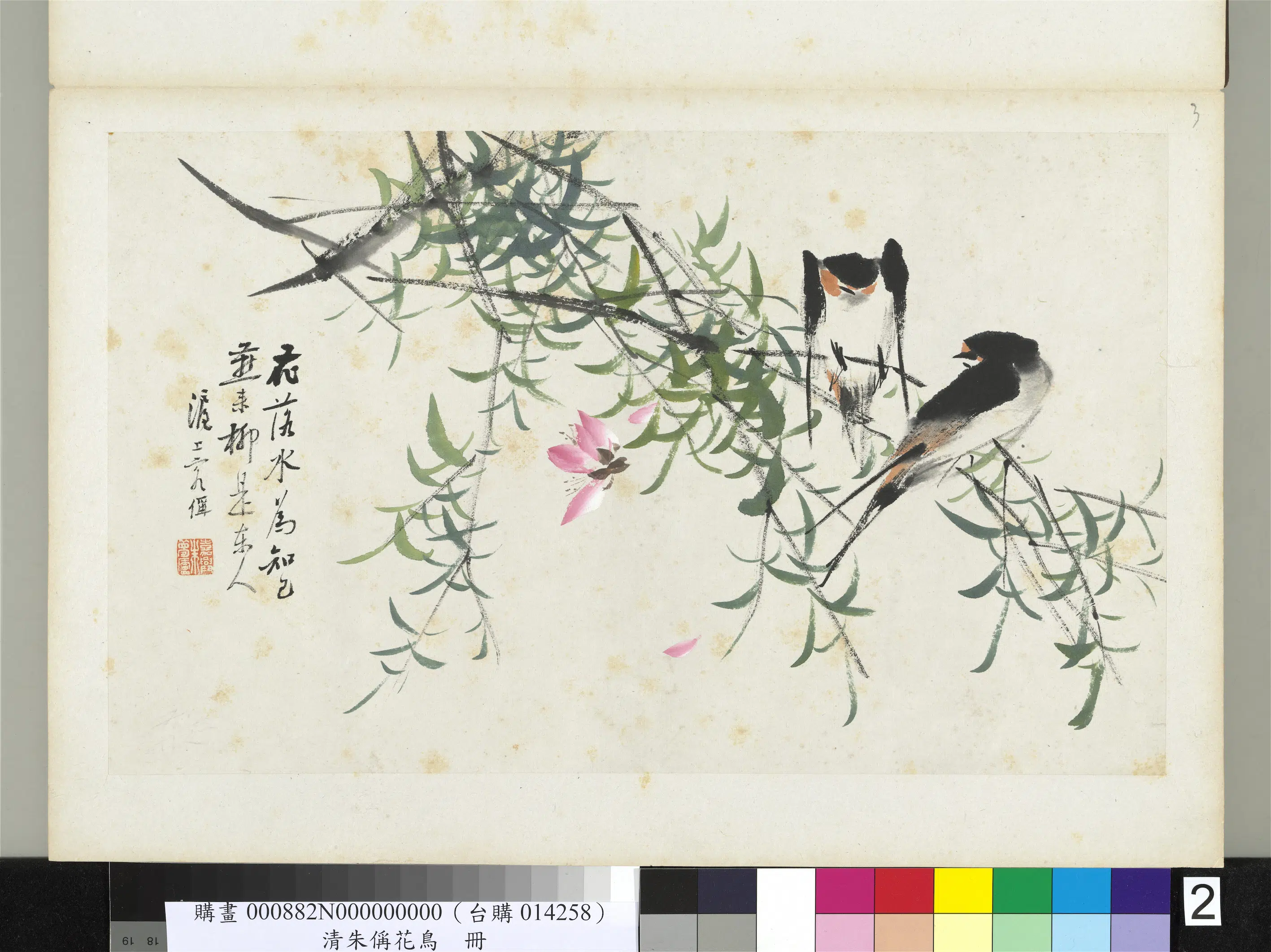 清代【朱偁】《花鸟册》 第3张