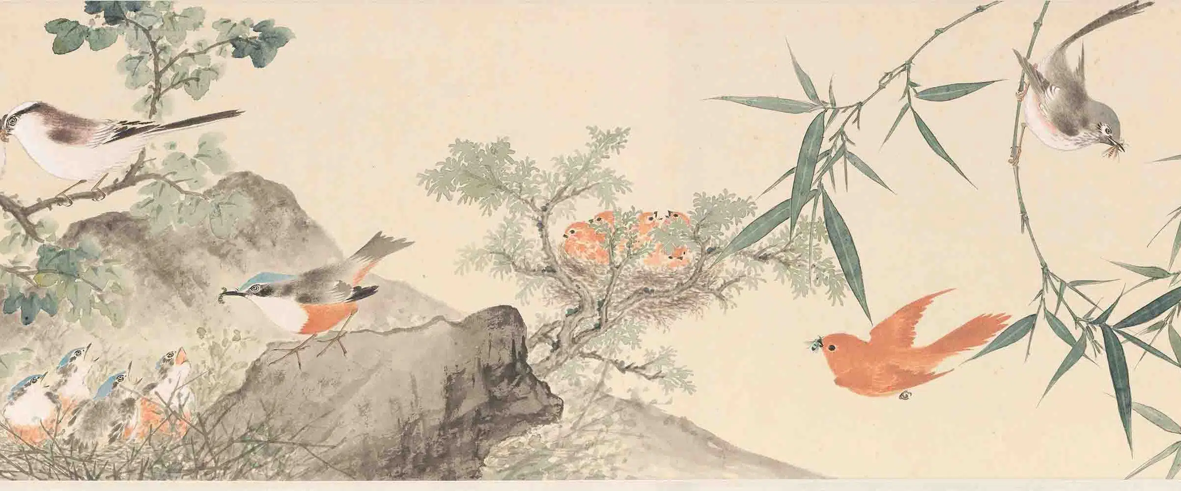 近现代【江寒汀】《百禽图卷》 第8张 近现代【江寒汀】《百禽图卷》 第8张