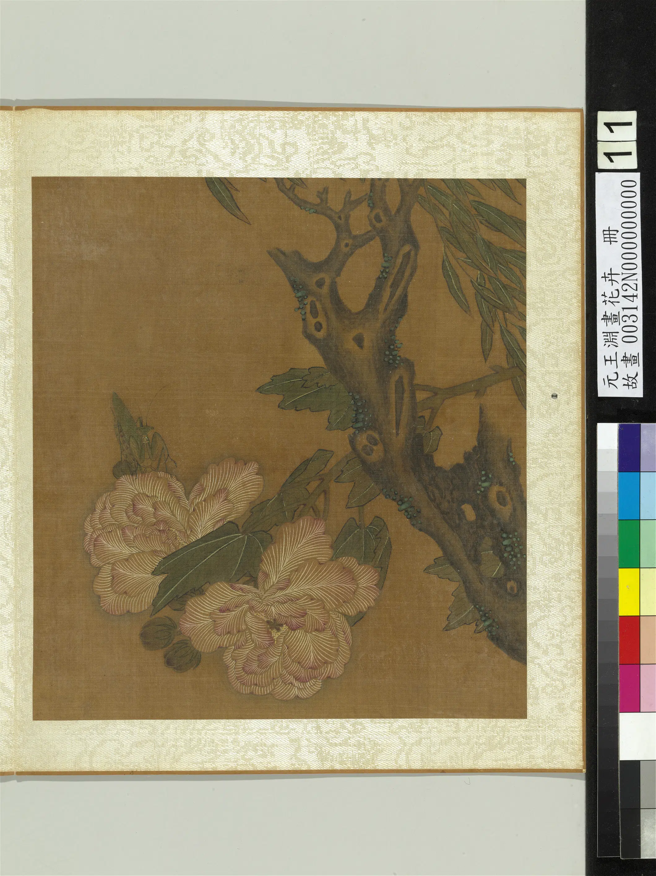 元朝【王渊】《画花卉册-芙蓉》