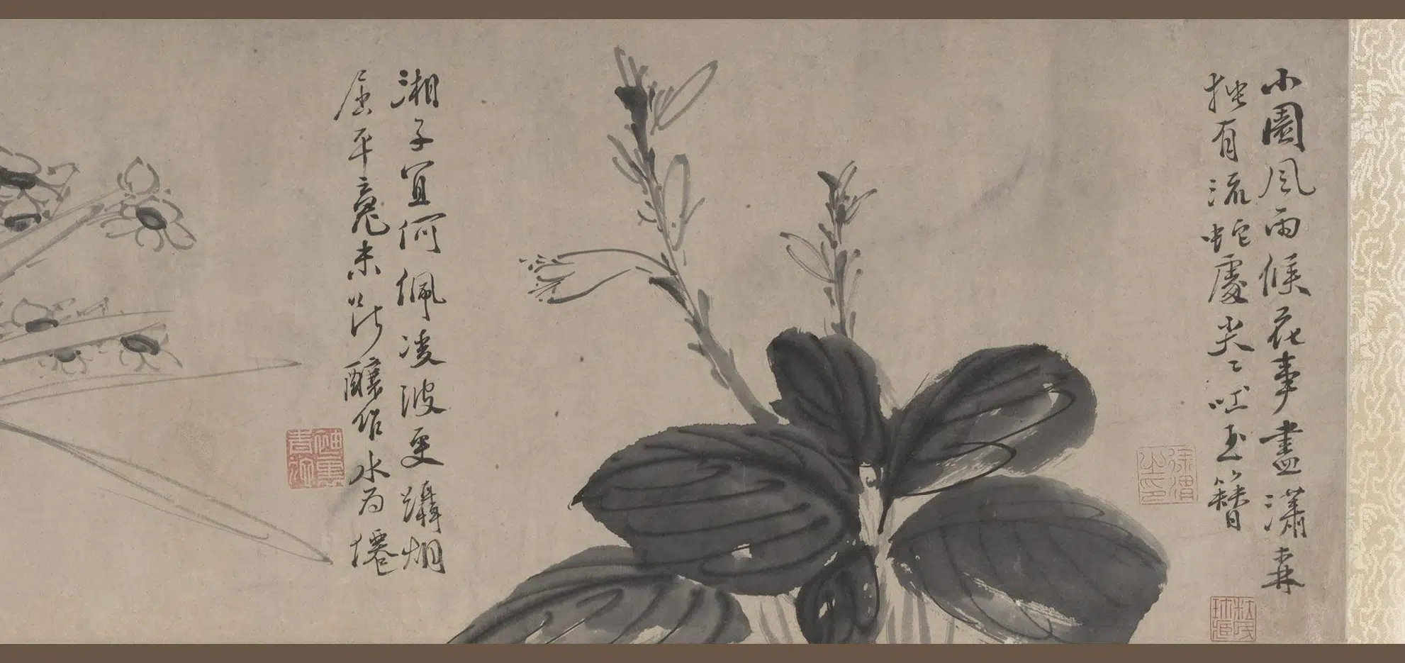 明朝【徐渭】《花卉卷》 第6张