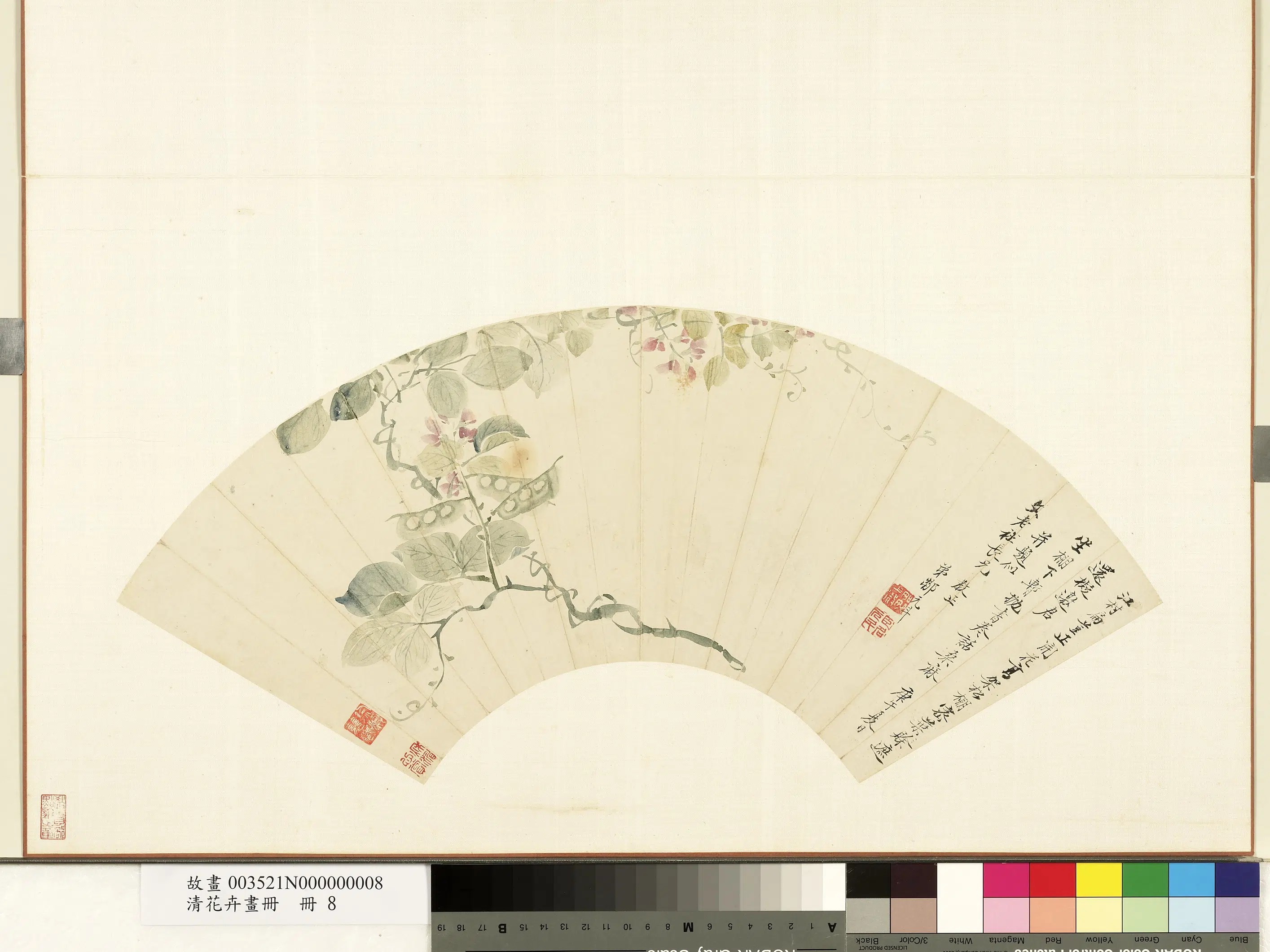 清代【邹元斗】《画豆花图-清花卉画册》