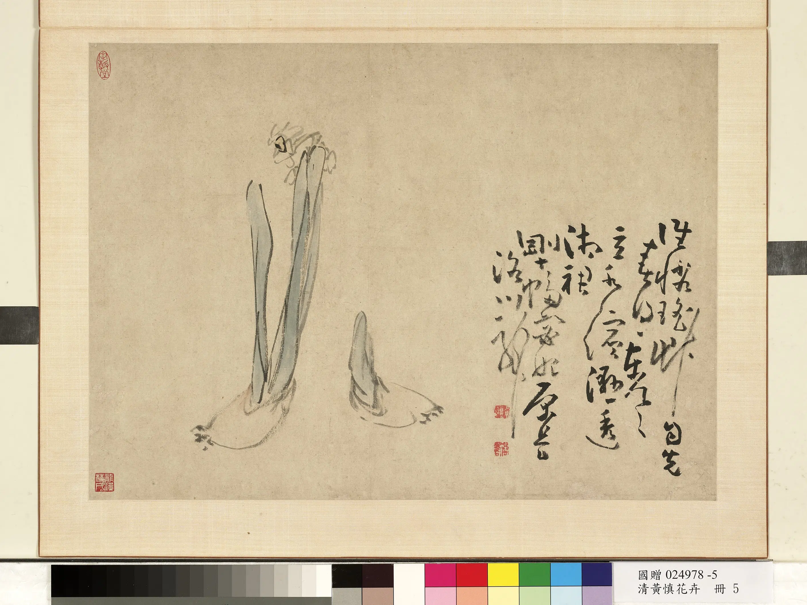 清代【黄慎】《花卉册-水仙》 第1张