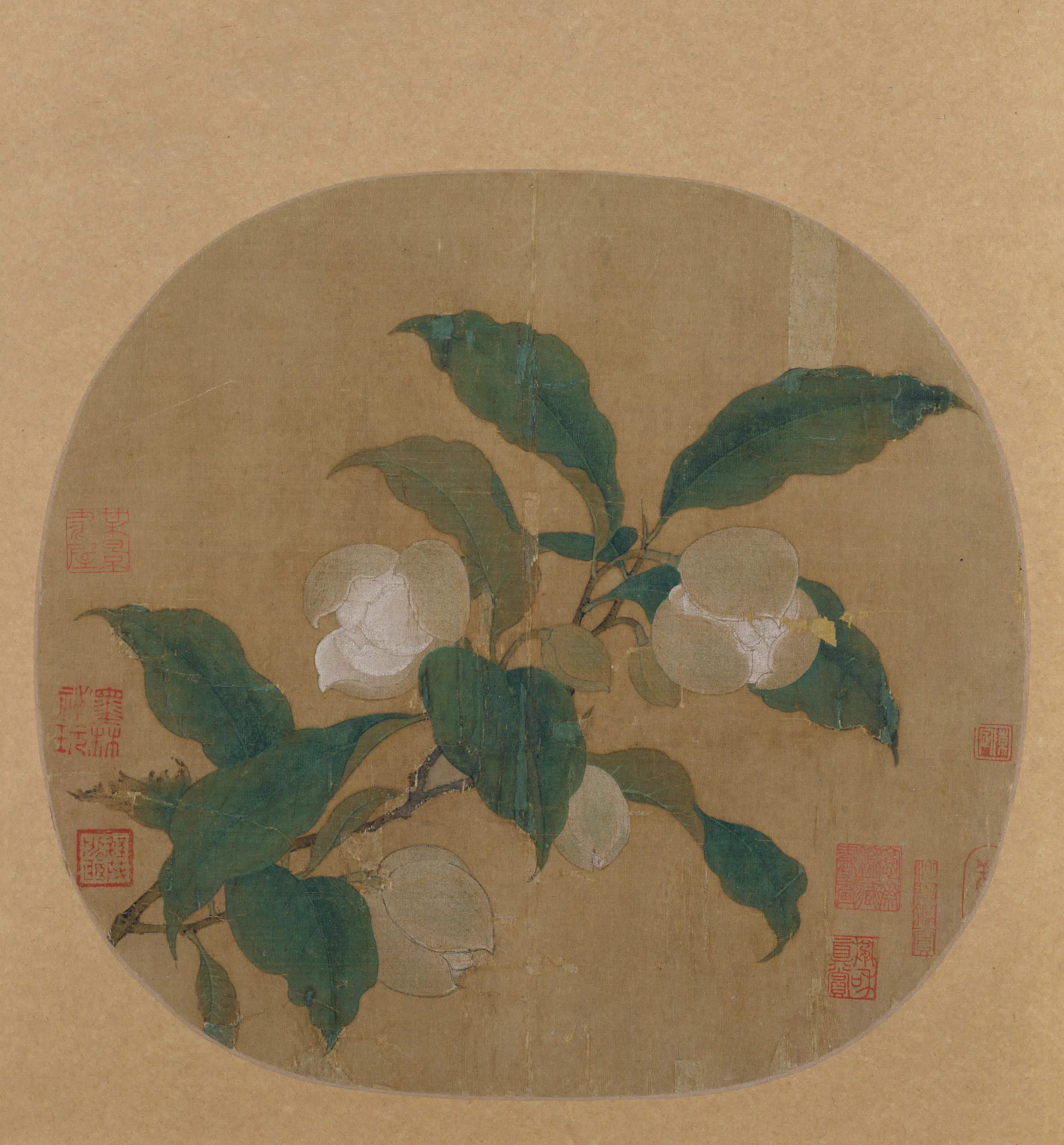 宋代【佚名】《夜合花图纨扇页》
