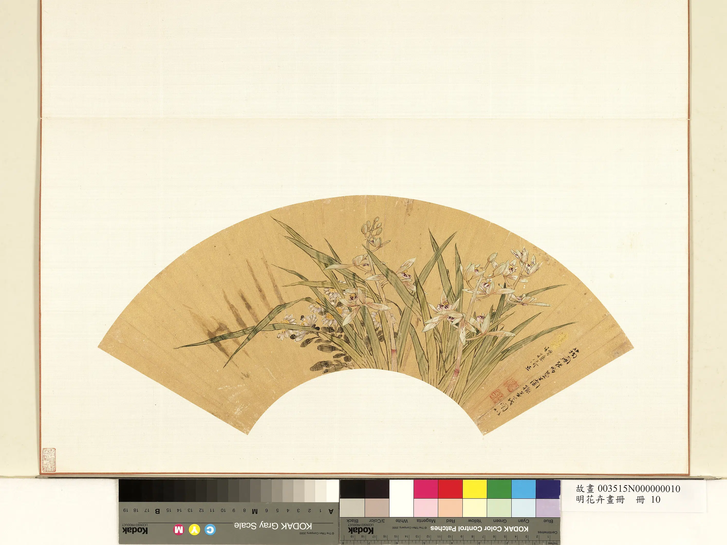北宋【张昉】《花卉画册-兰孙并茂》