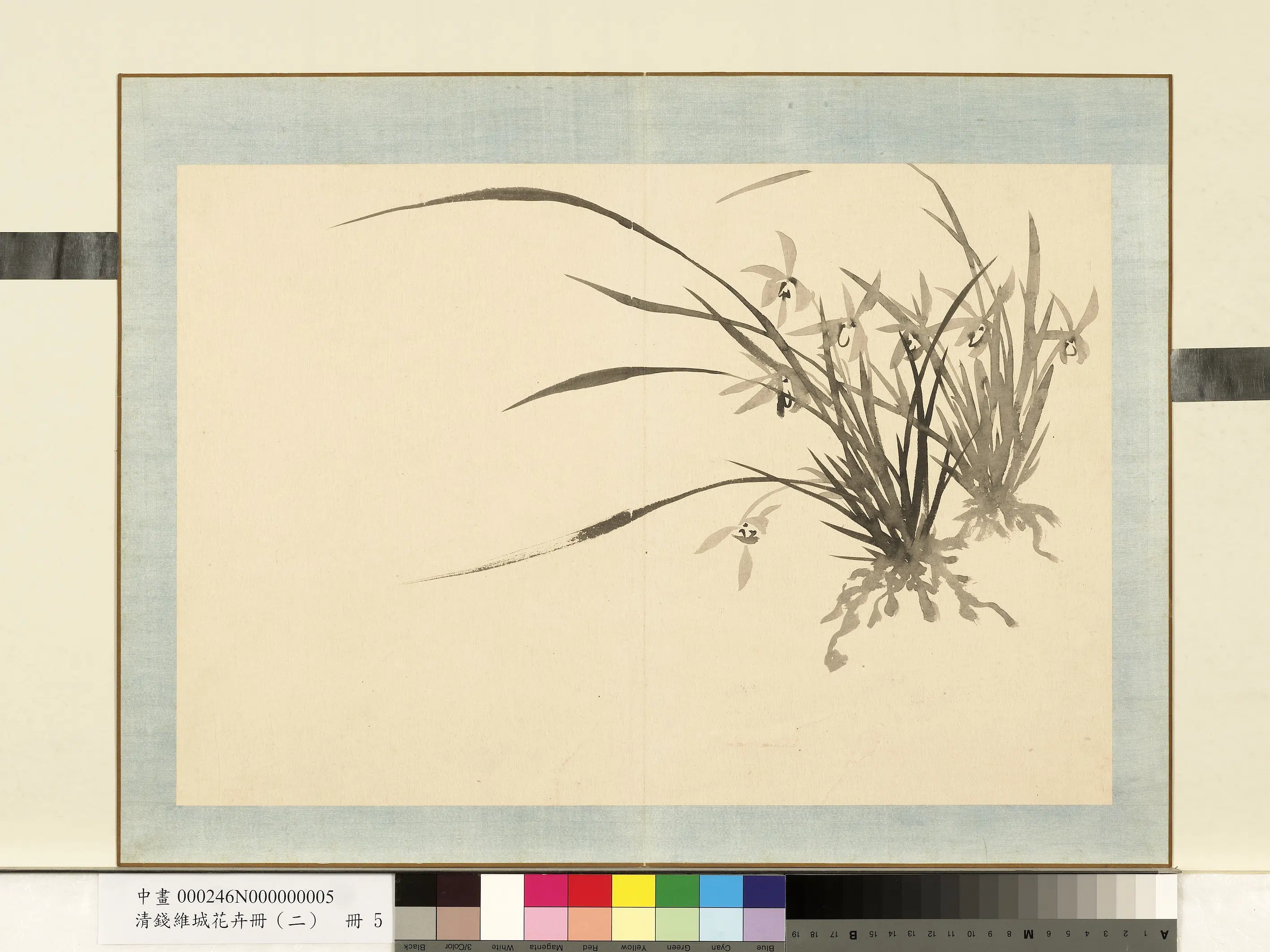 清代【钱维城】《花卉册（二）册-画兰之五》
