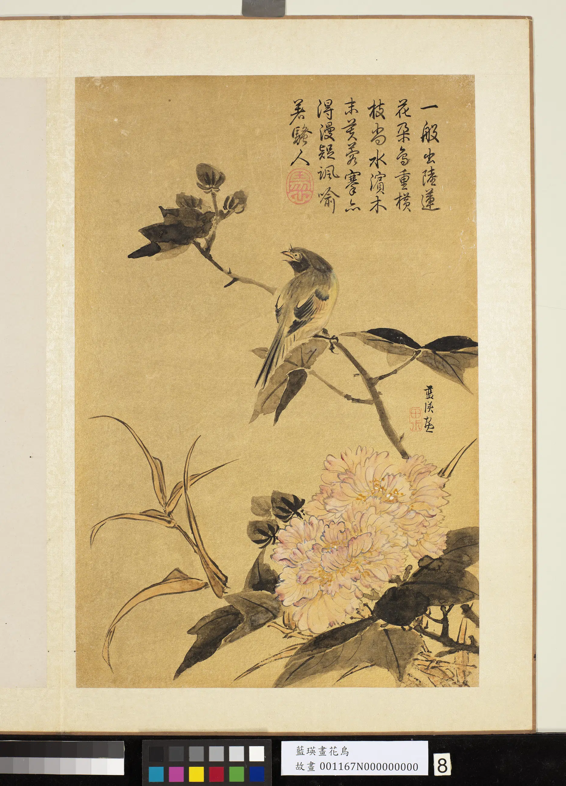 明朝【蓝瑛】《画花鸟册-12开》 第5张 明朝【蓝瑛】《画花鸟册-12开》 第5张