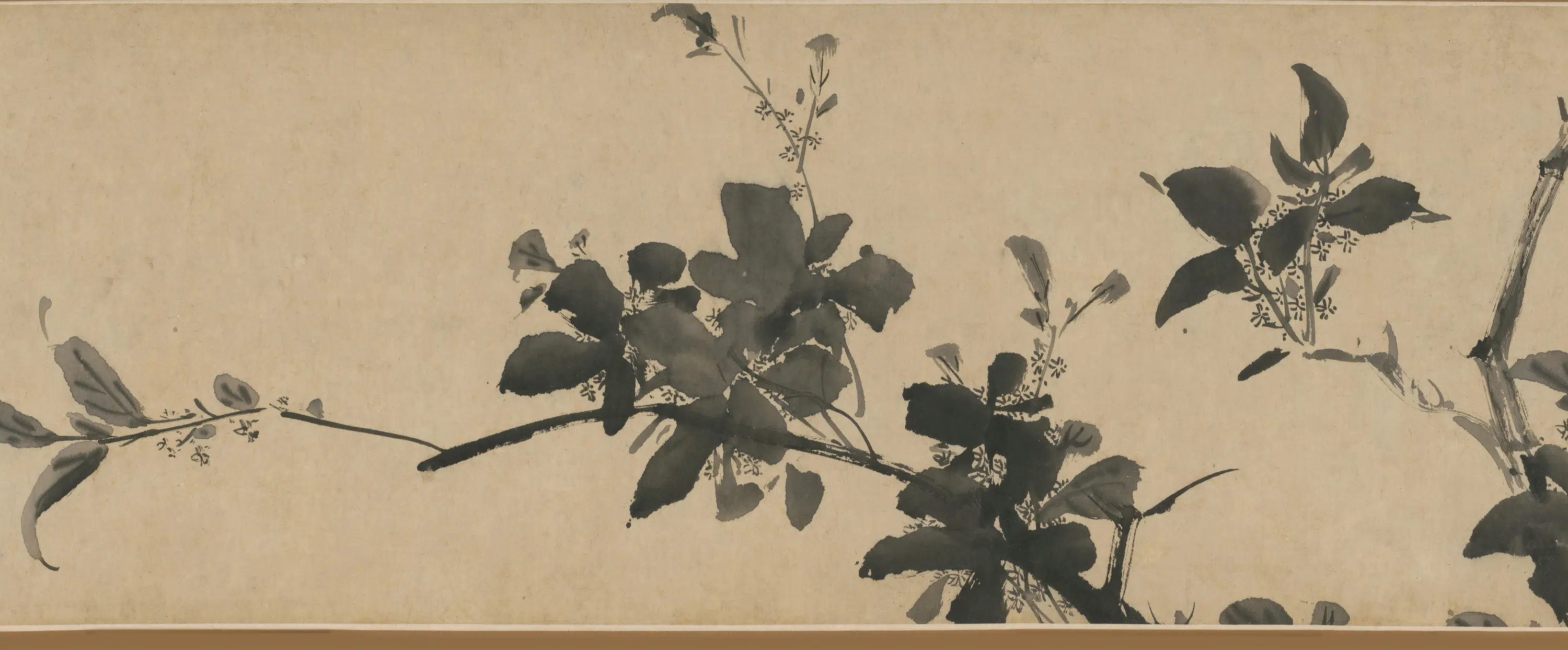 明朝【徐渭】《四时花卉图卷》 第32张