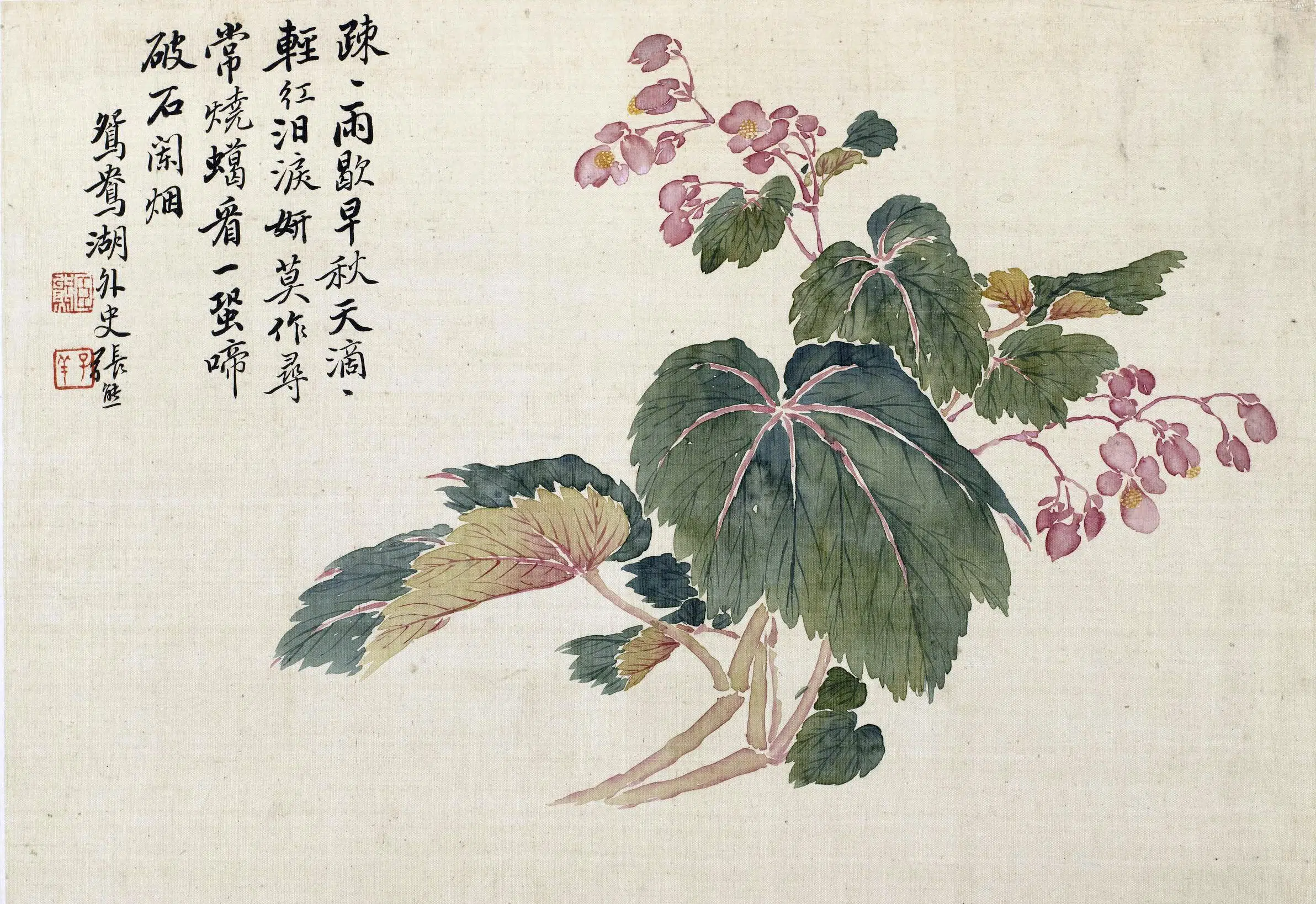 清代【张熊】《花卉册》 第11张