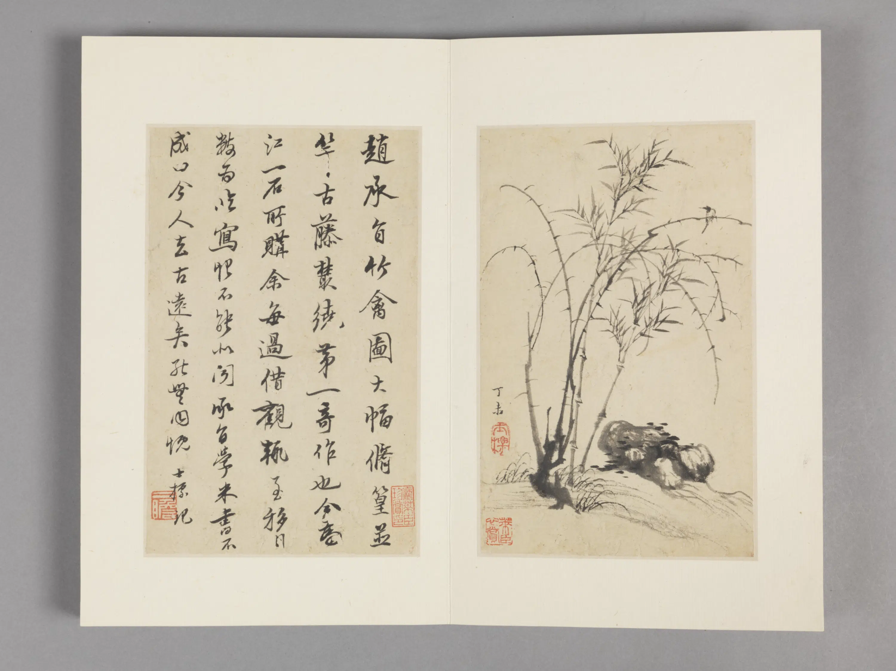 清代【查士标】《枯木竹石册（12开）》 第10张
