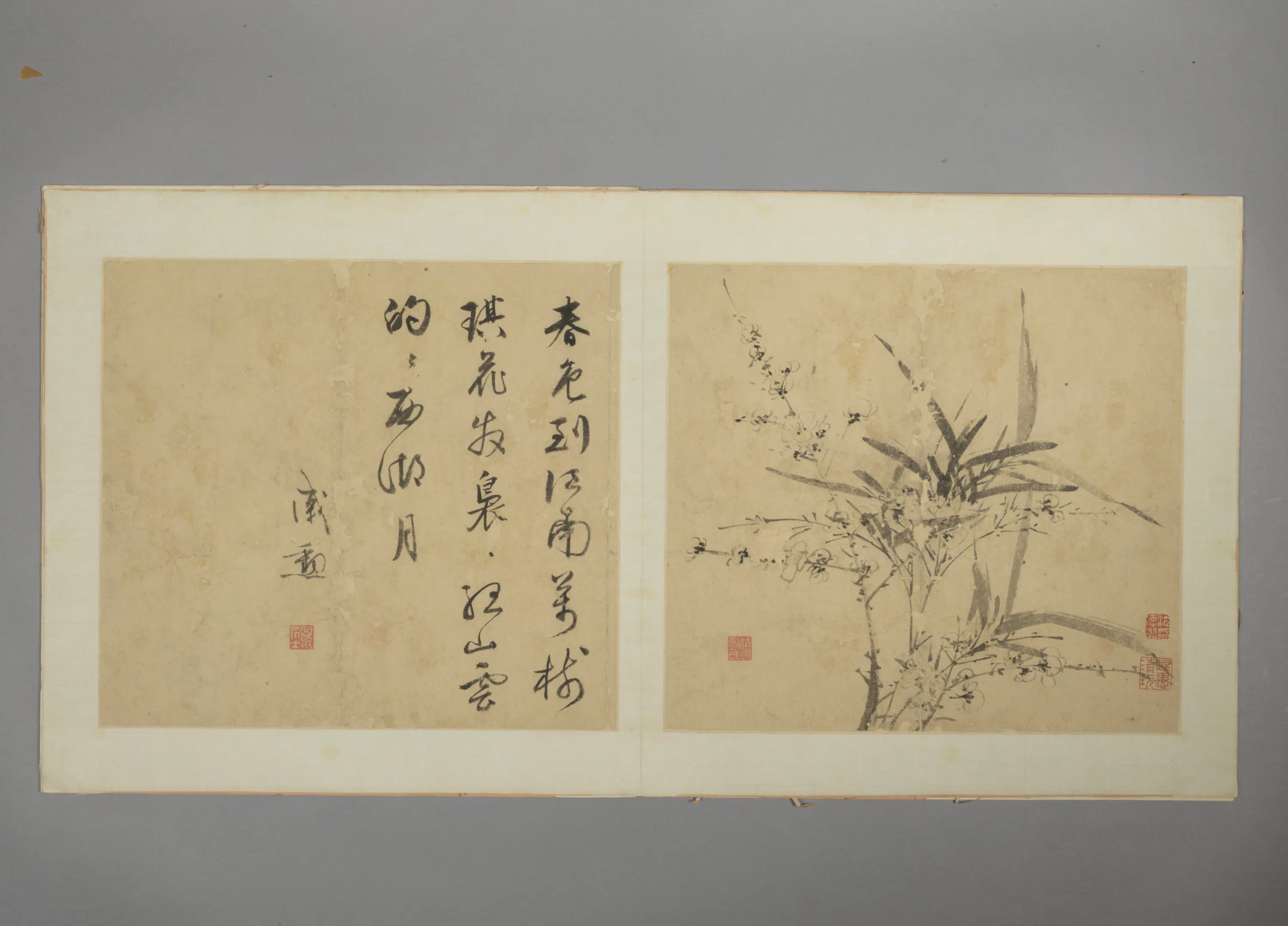 明朝【戚勋】《花卉册》 第3张