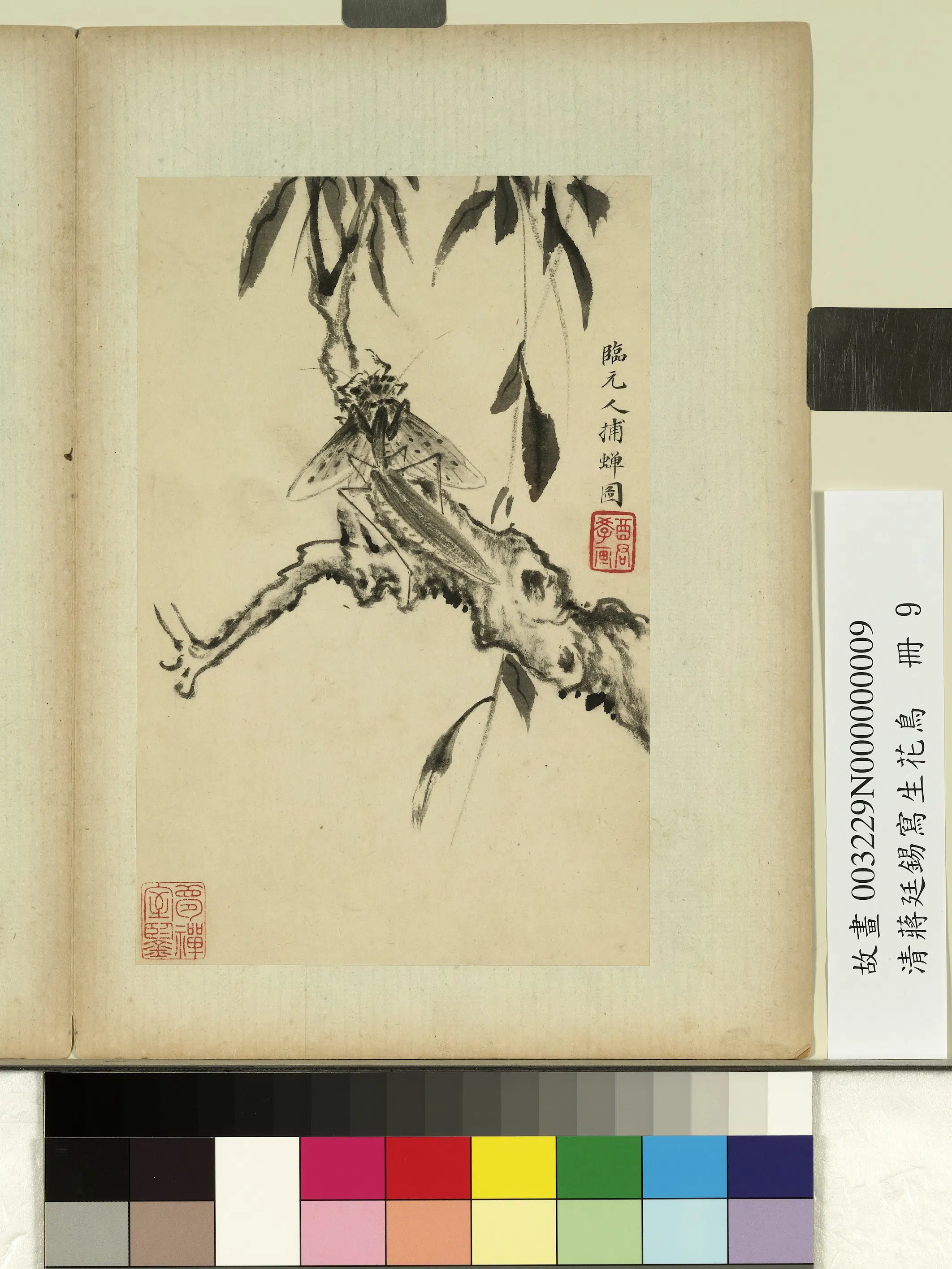 清代【蒋廷锡】《写生花鸟册》 第8张