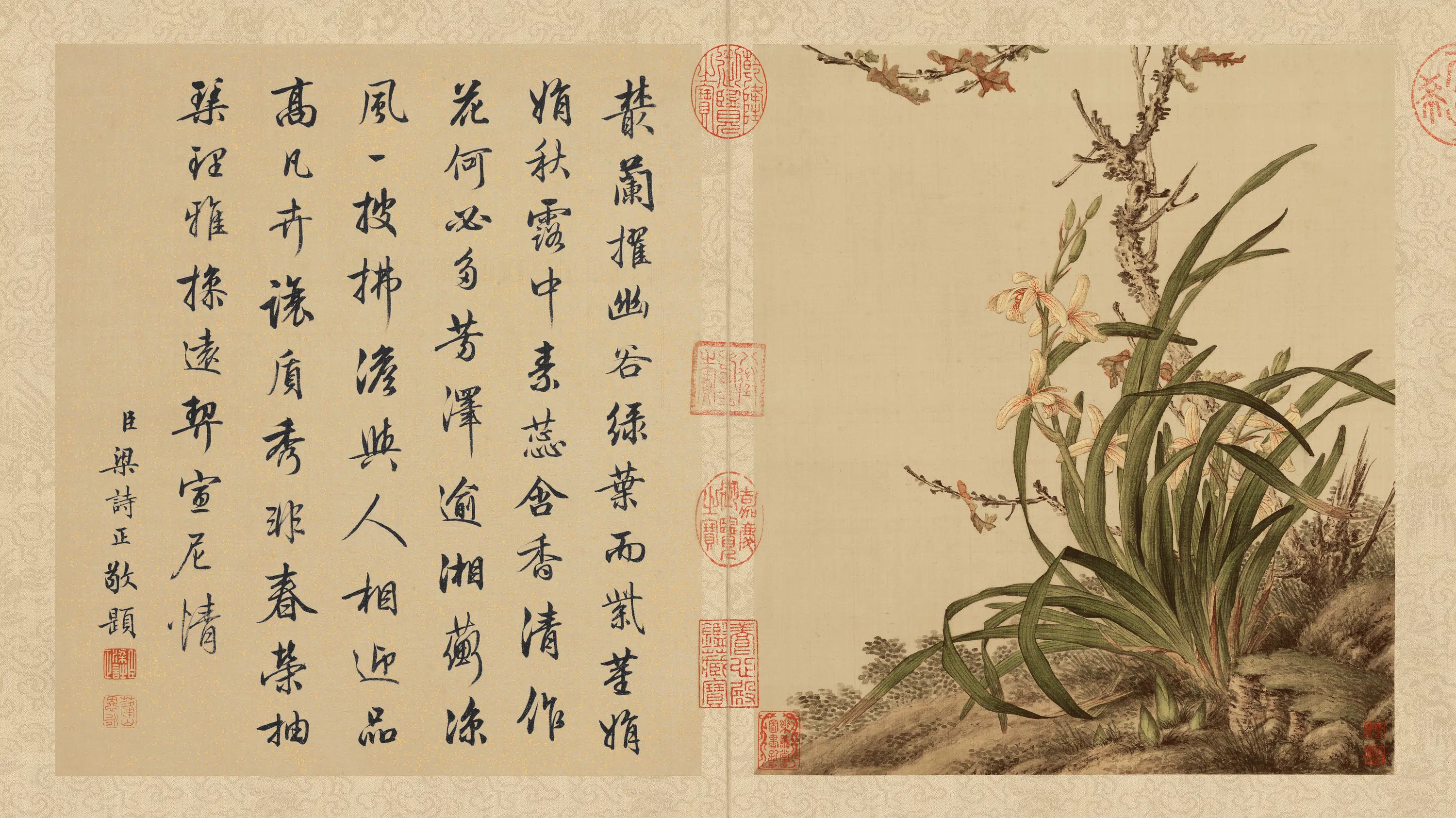 清代【郎世宁】《花鸟册页(10开)》 第5张 清代【郎世宁】《花鸟册页(10开)》 第5张