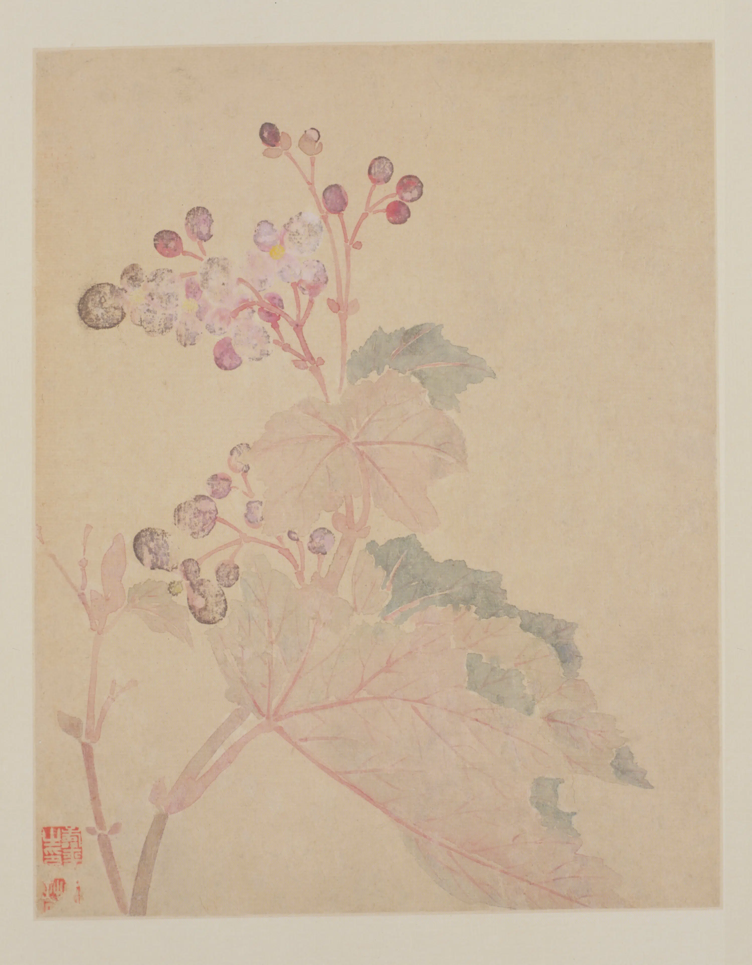 清代【恽寿平】《花鸟册(12开)》 第5张 清代【恽寿平】《花鸟册(12开)》 第5张