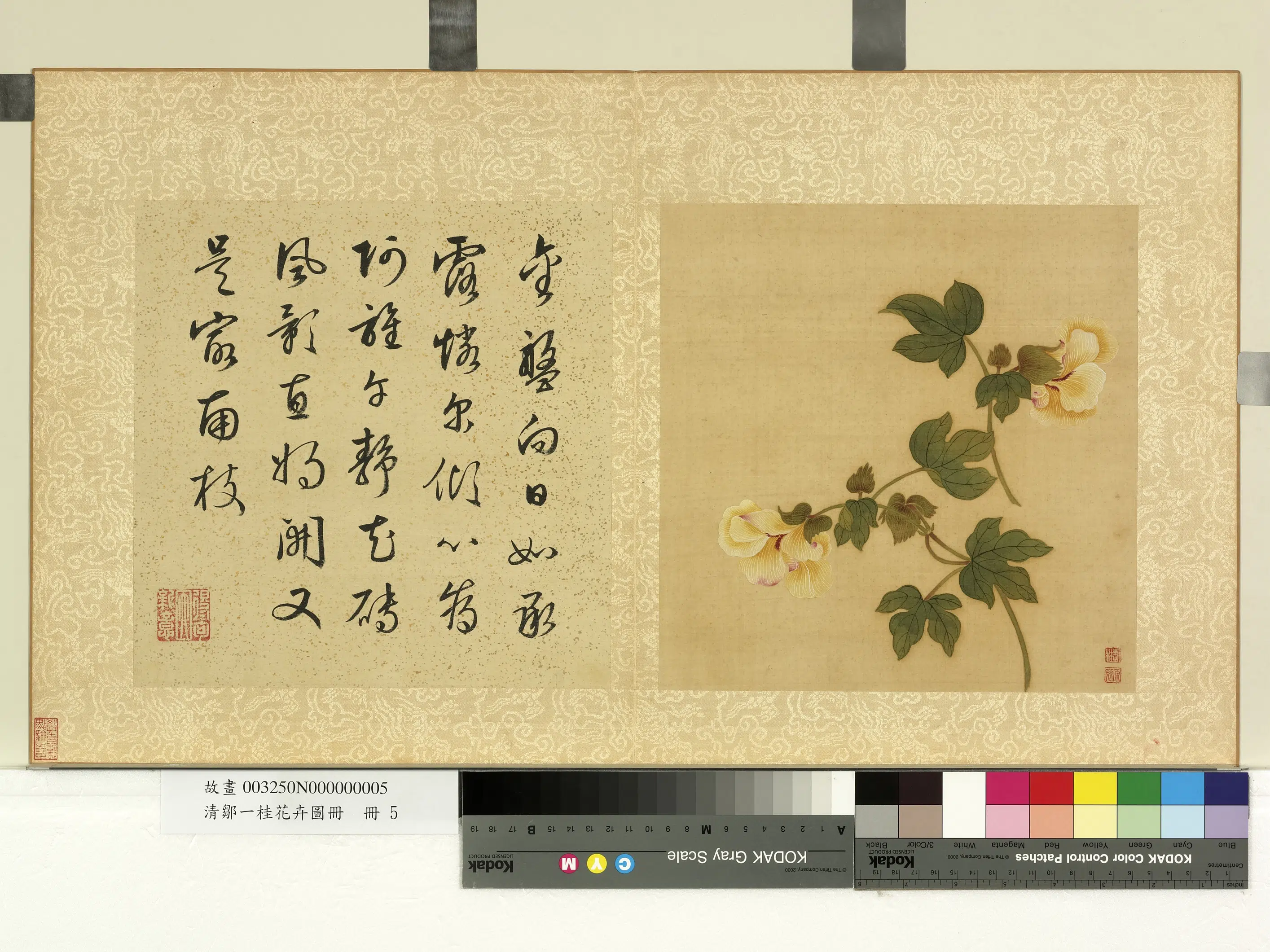 清代【邹一桂】《花卉画册-葵花》